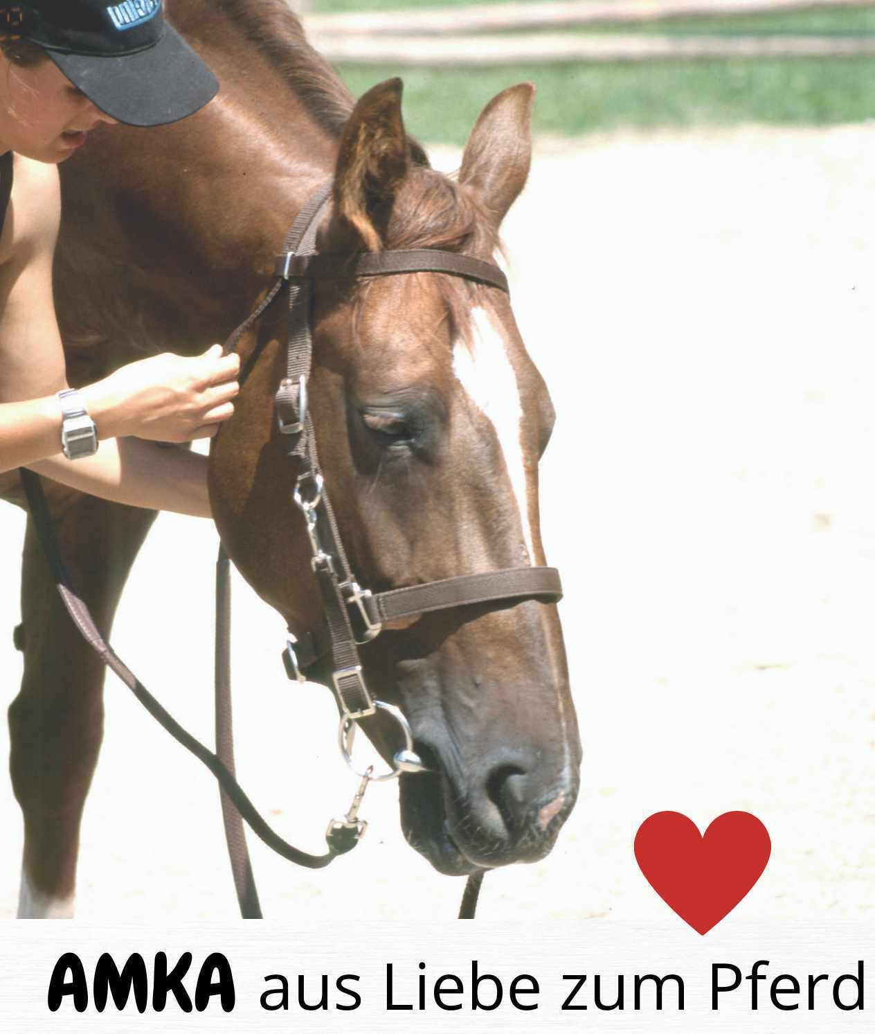 Pferd mit Zaumzeug. Person setzt Zaumzeug an. Text: AMKA aus Liebe zum Pferd.