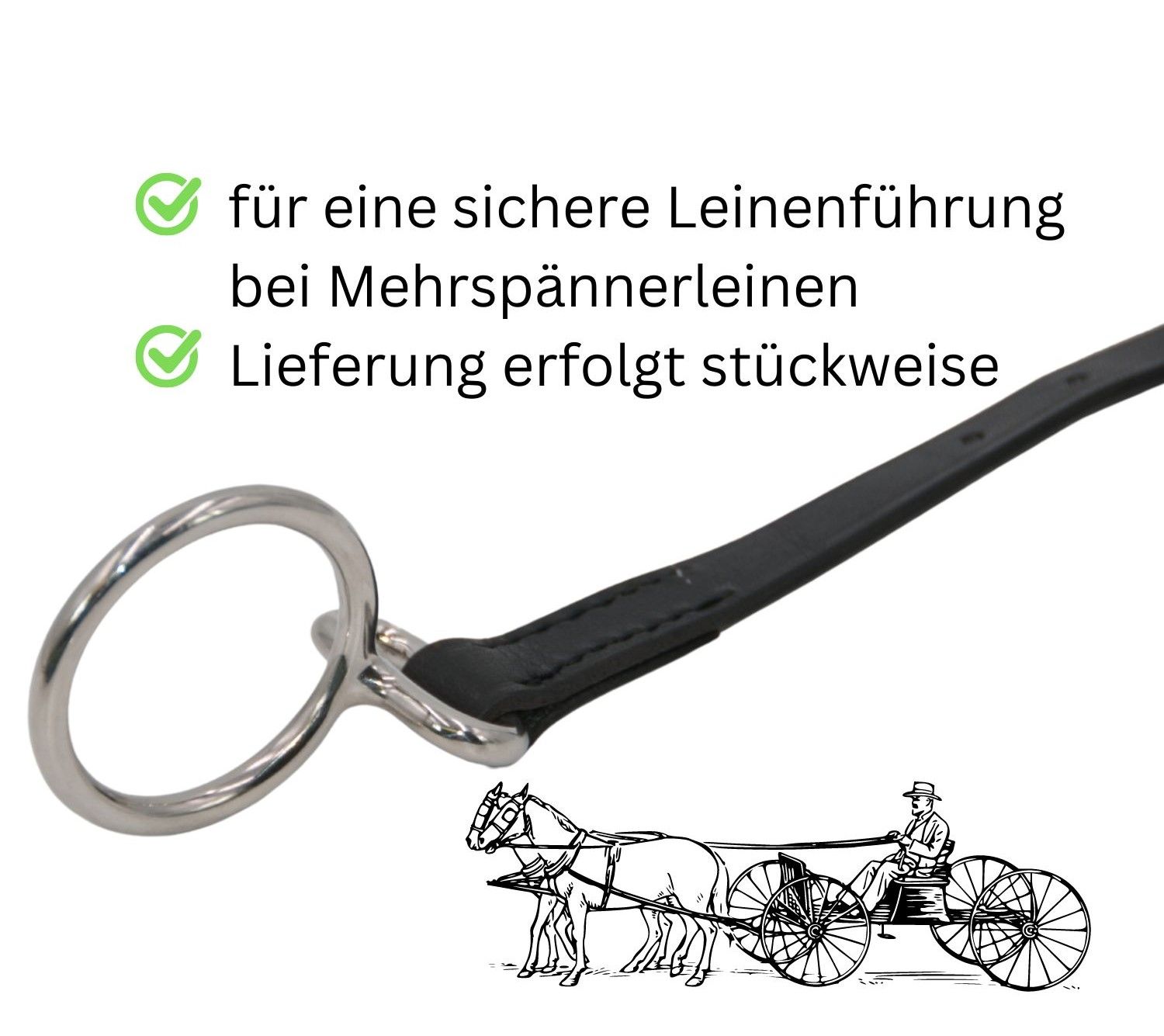 Leinenführungsring mit Lederriemen. Metallring mit schwarzem Lederriemen. Illustration von Pferden vor Kutsche.