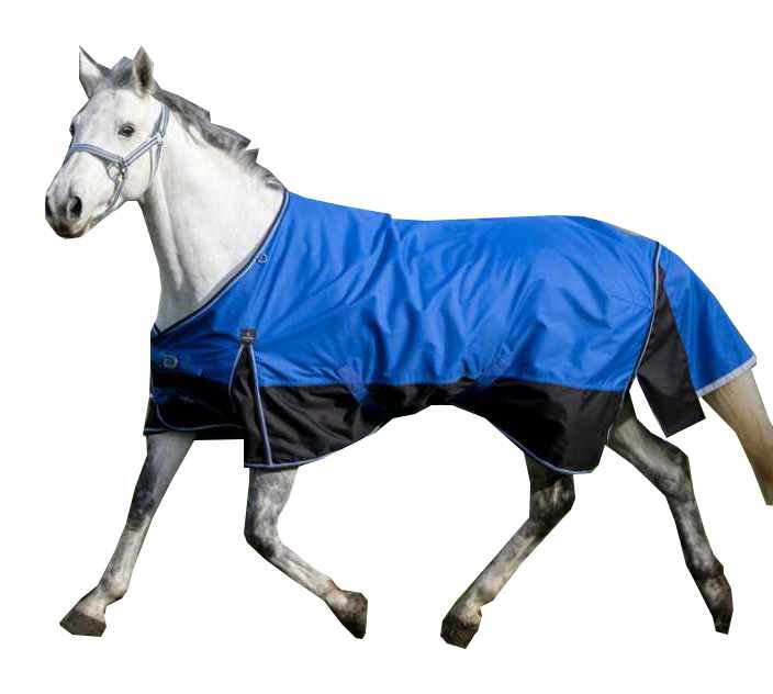 Graues Pferd mit blauer und schwarzer Decke. Weißer Rand. Im Galopp.