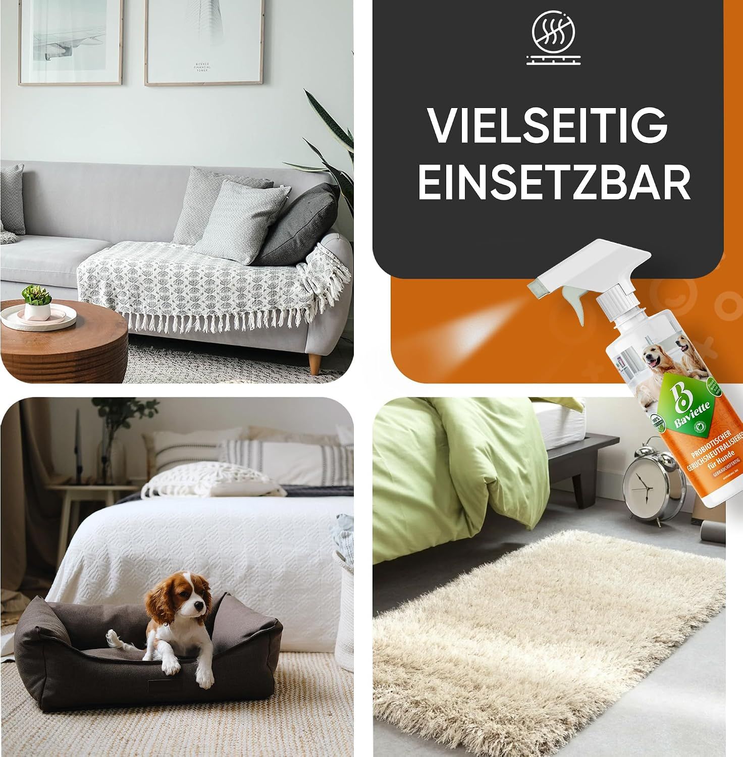 Baviette Probiotischer Geruchsneutralieser Konzentrat für Hundehaushalte