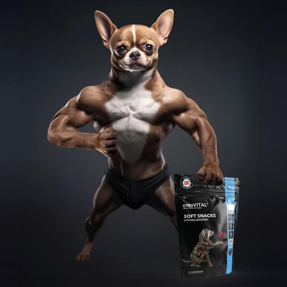 Muskulöser Hund hält schwarze Verpackung mit Produktnamen und Logo. Text: SOFT SNACKS HYPOALLERGENIC.