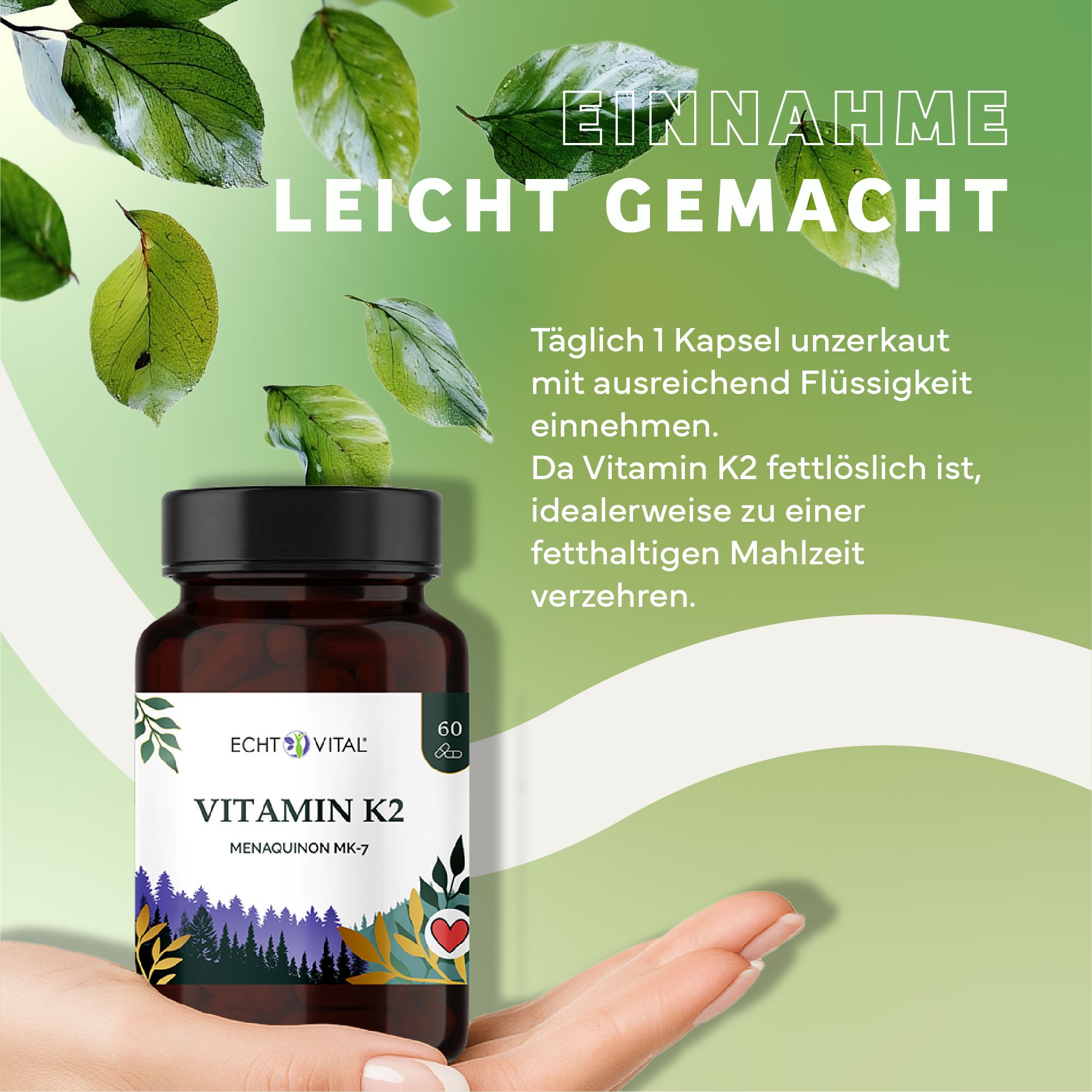 Braune Glasflasche mit schwarzem Deckel. Aufschrift: Echt Vital Vitamin K2. 60 Kapseln. Hand hält Flasche. Hintergrund mit Blättern.