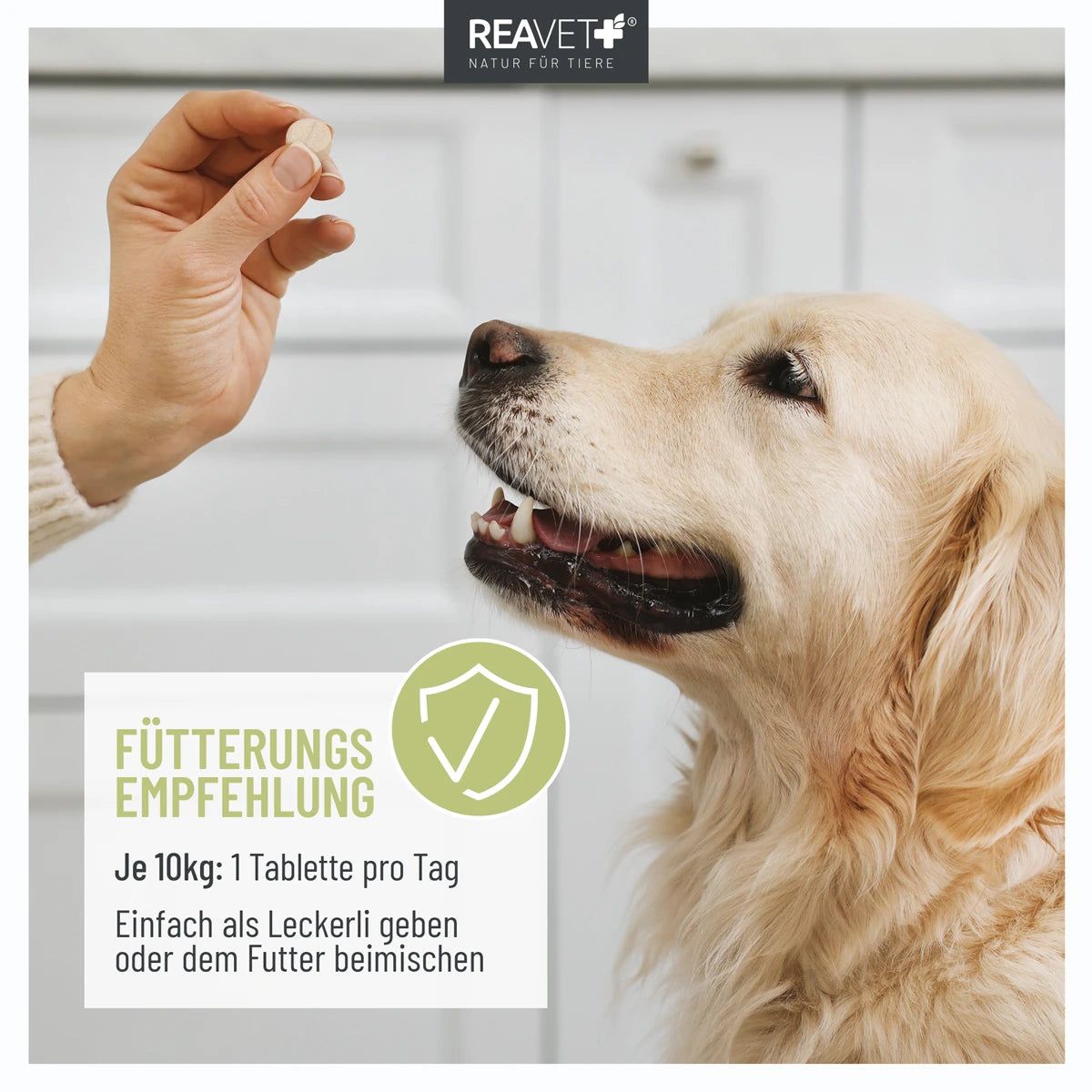 Z-Blocker PLUS Tabletten für Hunde - ReaVET