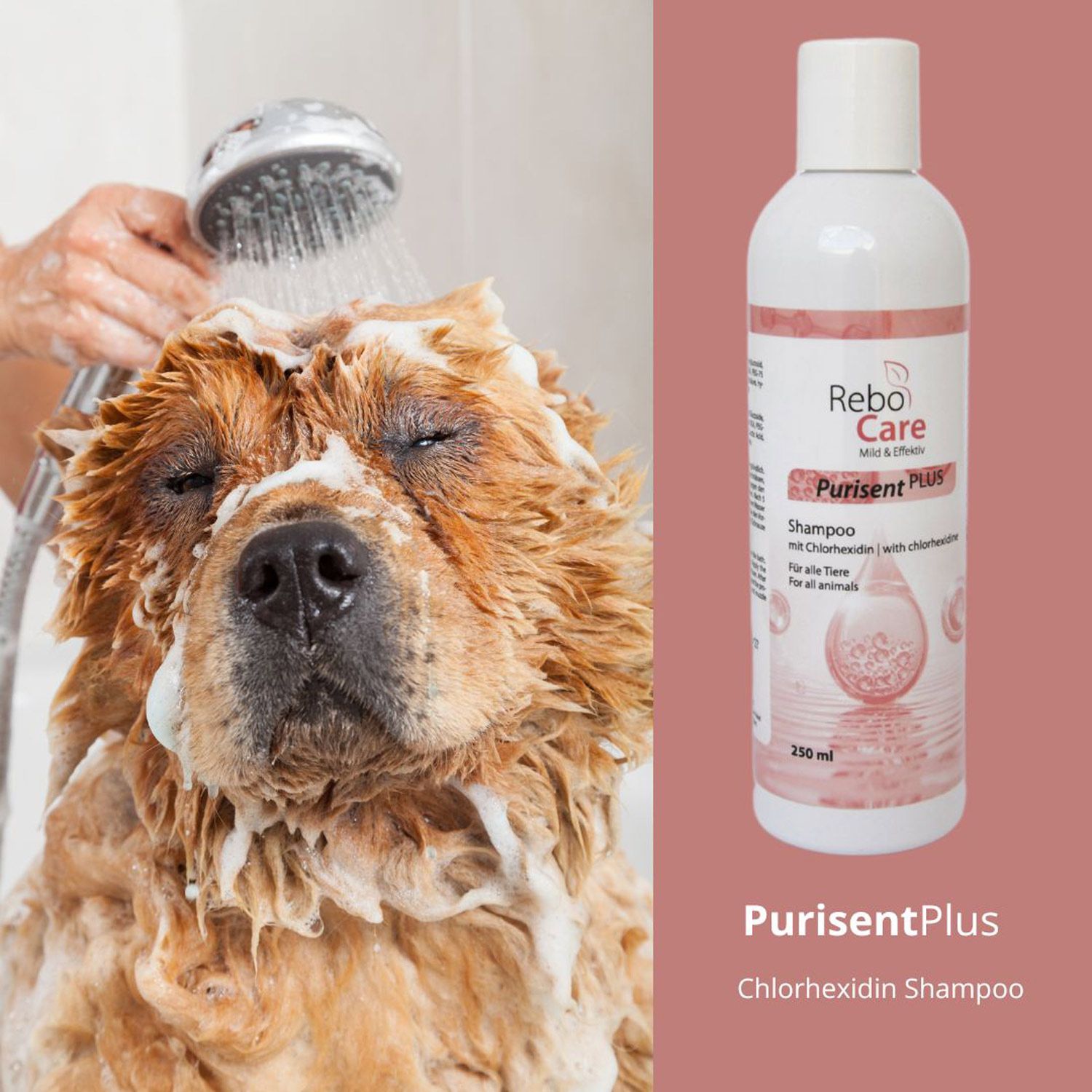 Purisent Plus Chlorhexidin Shampoo 3 % Chlorhexidin