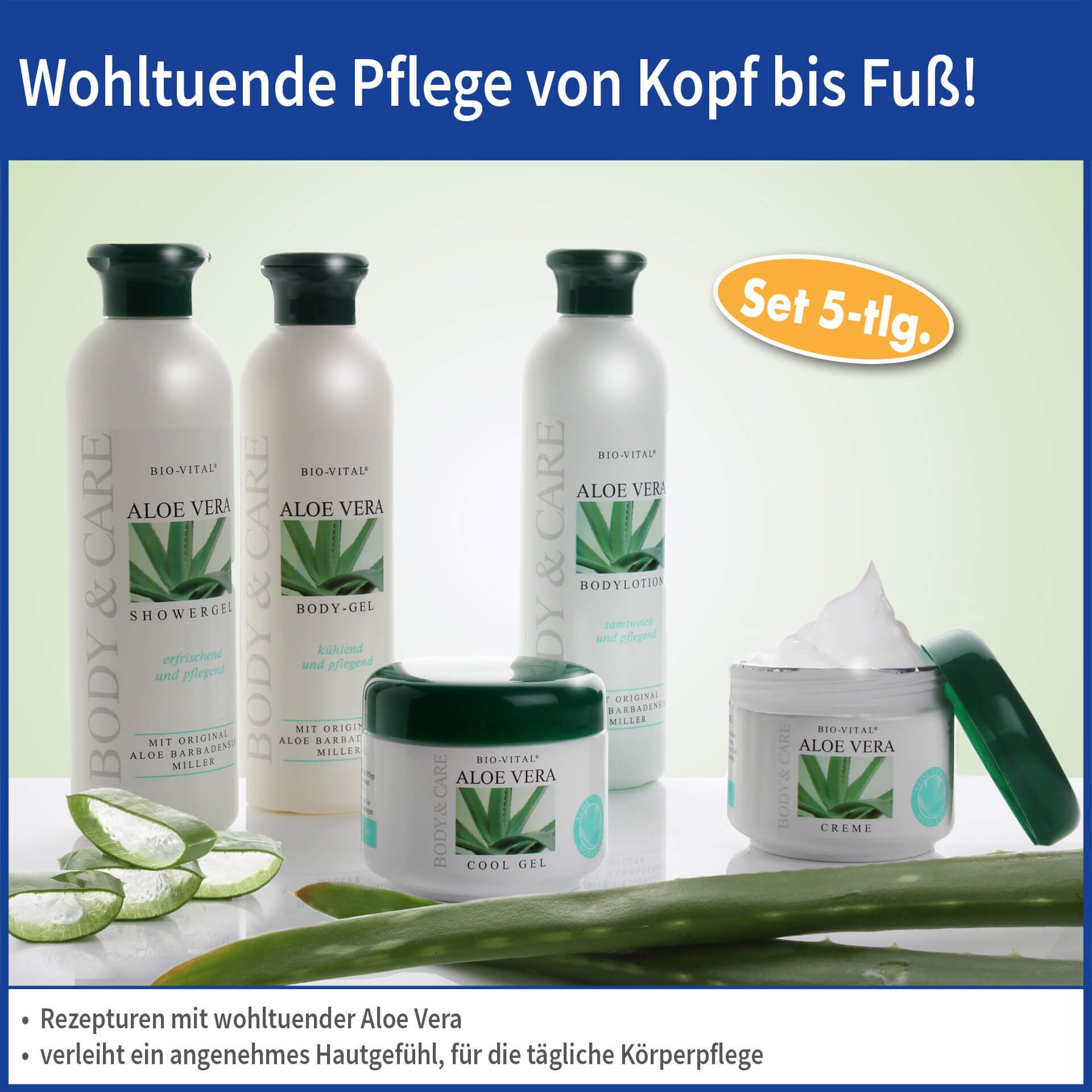 Pflegeset mit Aloe Vera. Flaschen und Tiegel mit grünen Deckeln. Aloe Vera-Blätter liegen daneben. Beschriftung: Aloe Vera, Body & Care.