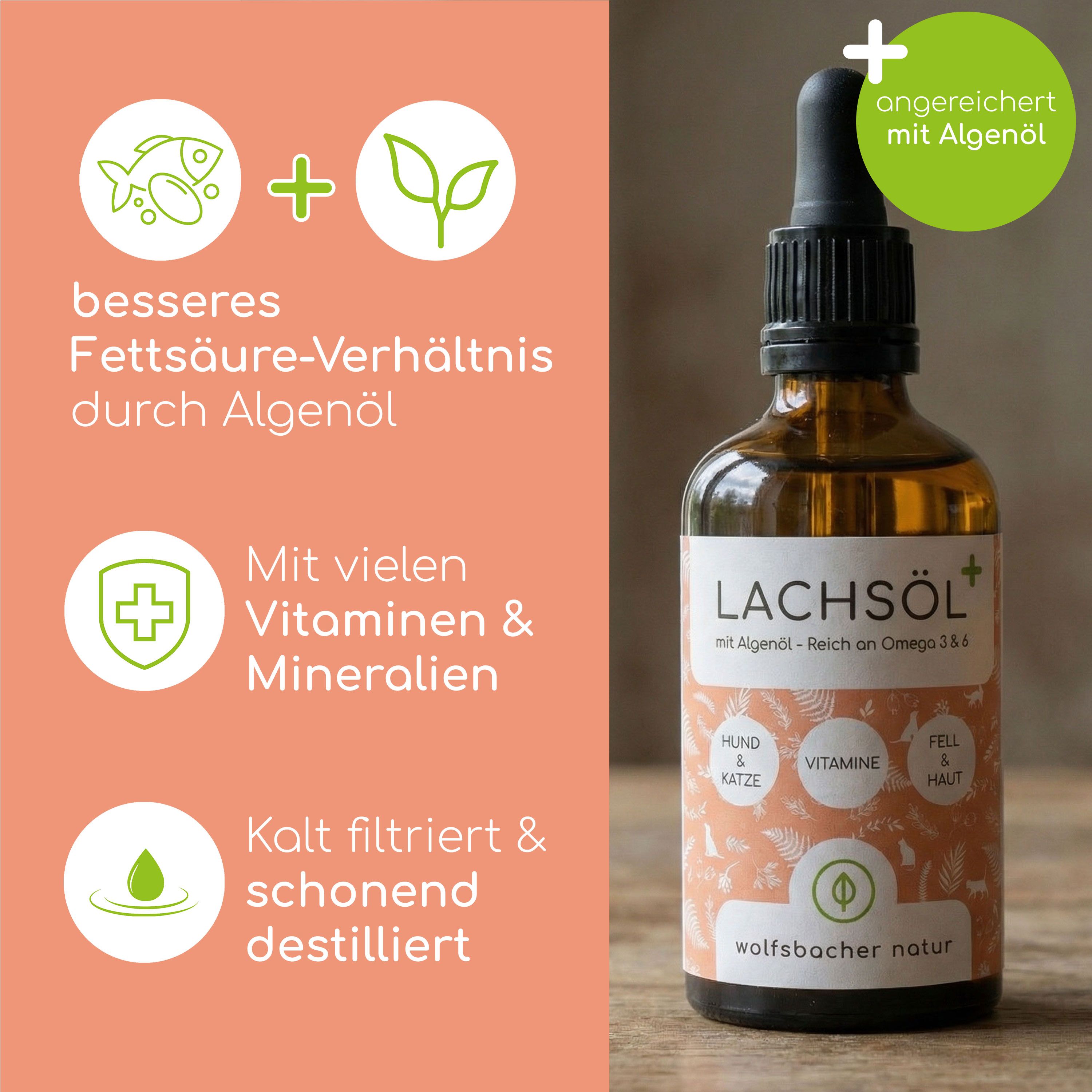 Braune Glasflasche Lachsöl mit Pipette. Text: "LACHSÖL". Icons: Fisch, Blätter, Kreuz. Text: "angereichert mit Algenöl", "Vitamine & Mineralien", "kalt filtriert".