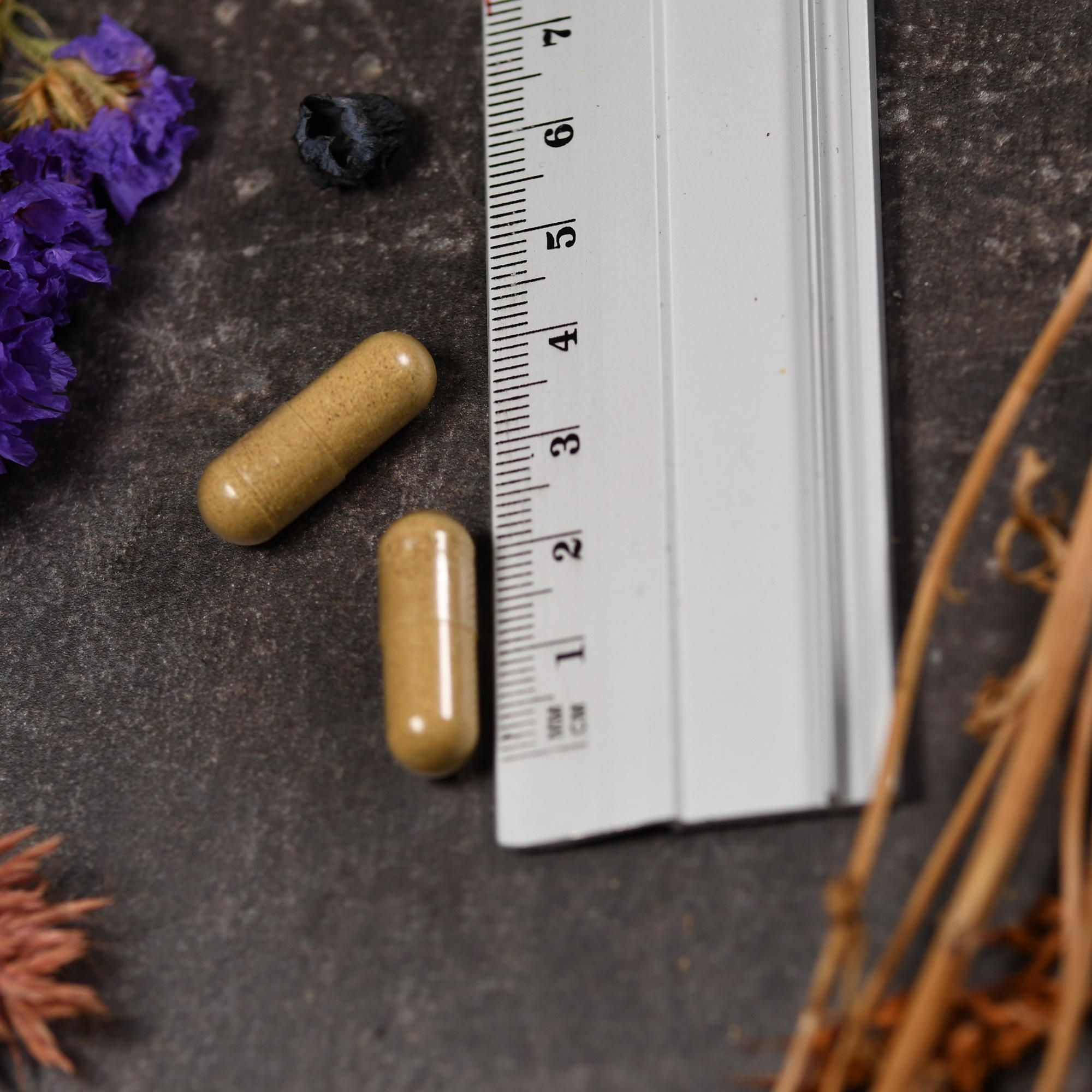 Zwei braune Kapseln neben einem Lineal. Auf dem dunklen Hintergrund sind auch getrocknete Blumen und Beeren zu sehen.