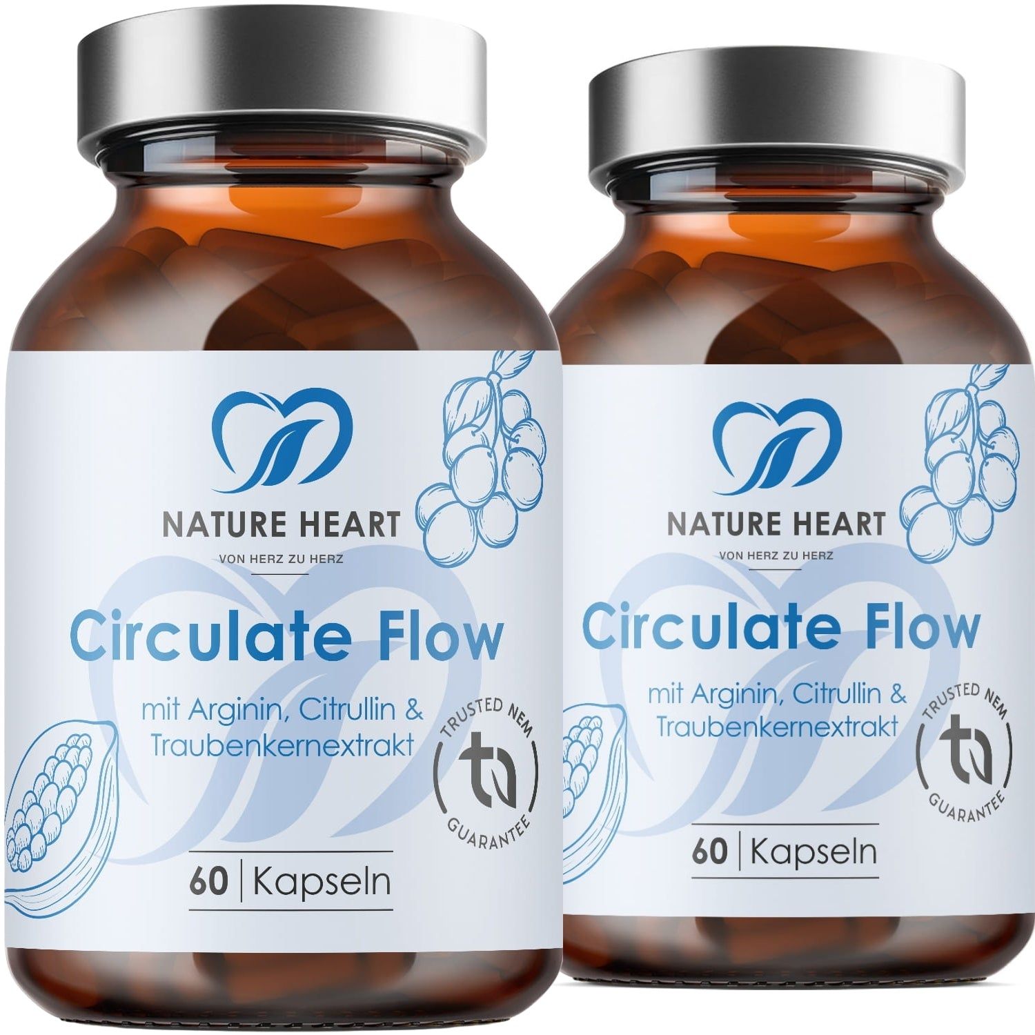 Nature Heart Circulate Flow