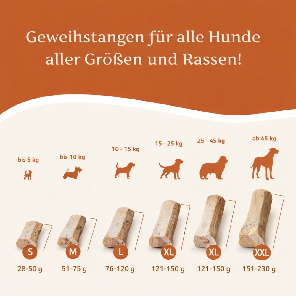 Größenvergleich für Kaustangen. S bis XXL. Hunde von 5 kg bis über 45 kg. Produktname: Rothirsch Kaugeweih.
