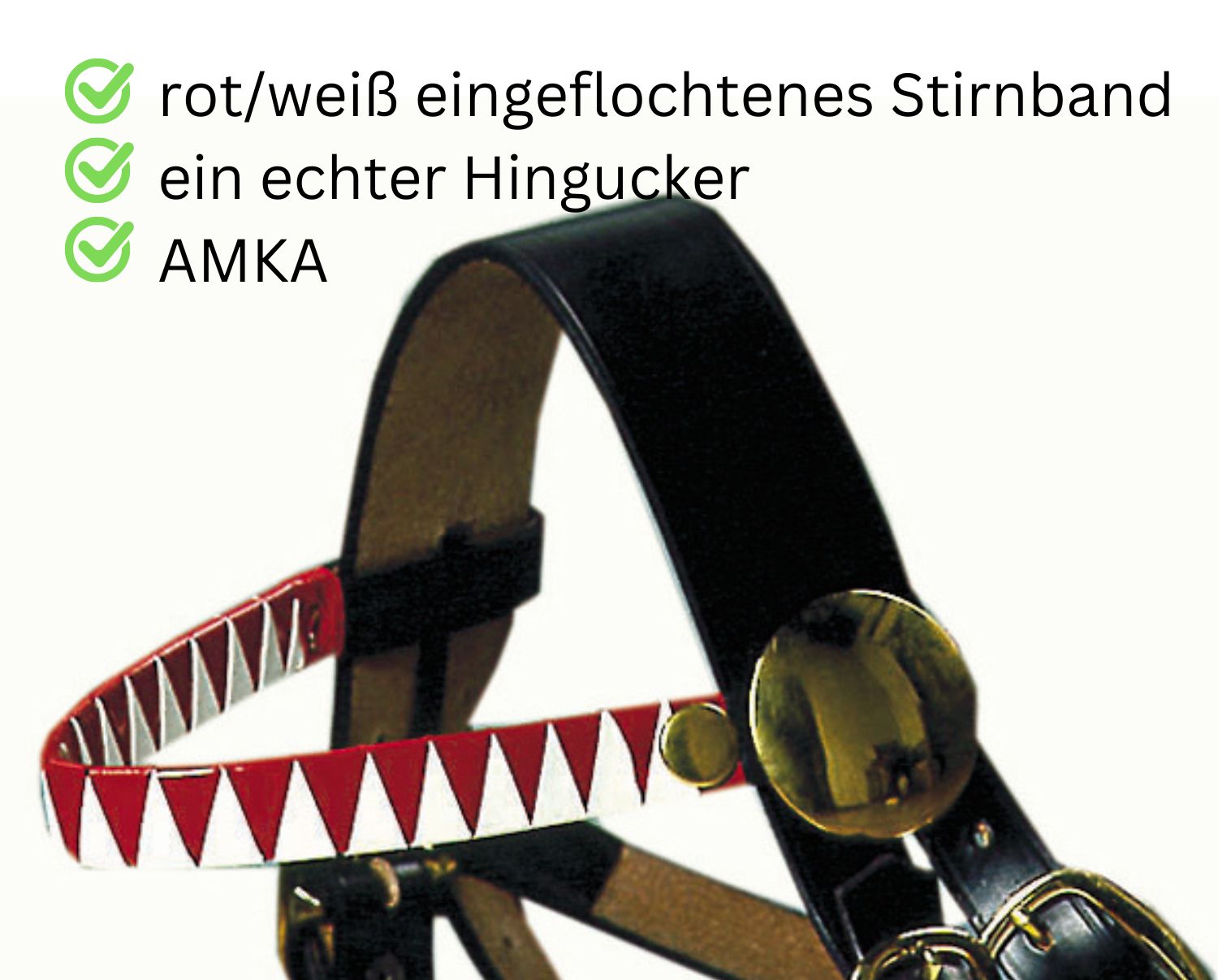Schwarzes Halfter mit rot-weiß geflochtenem Stirnband und Messingbeschlägen.