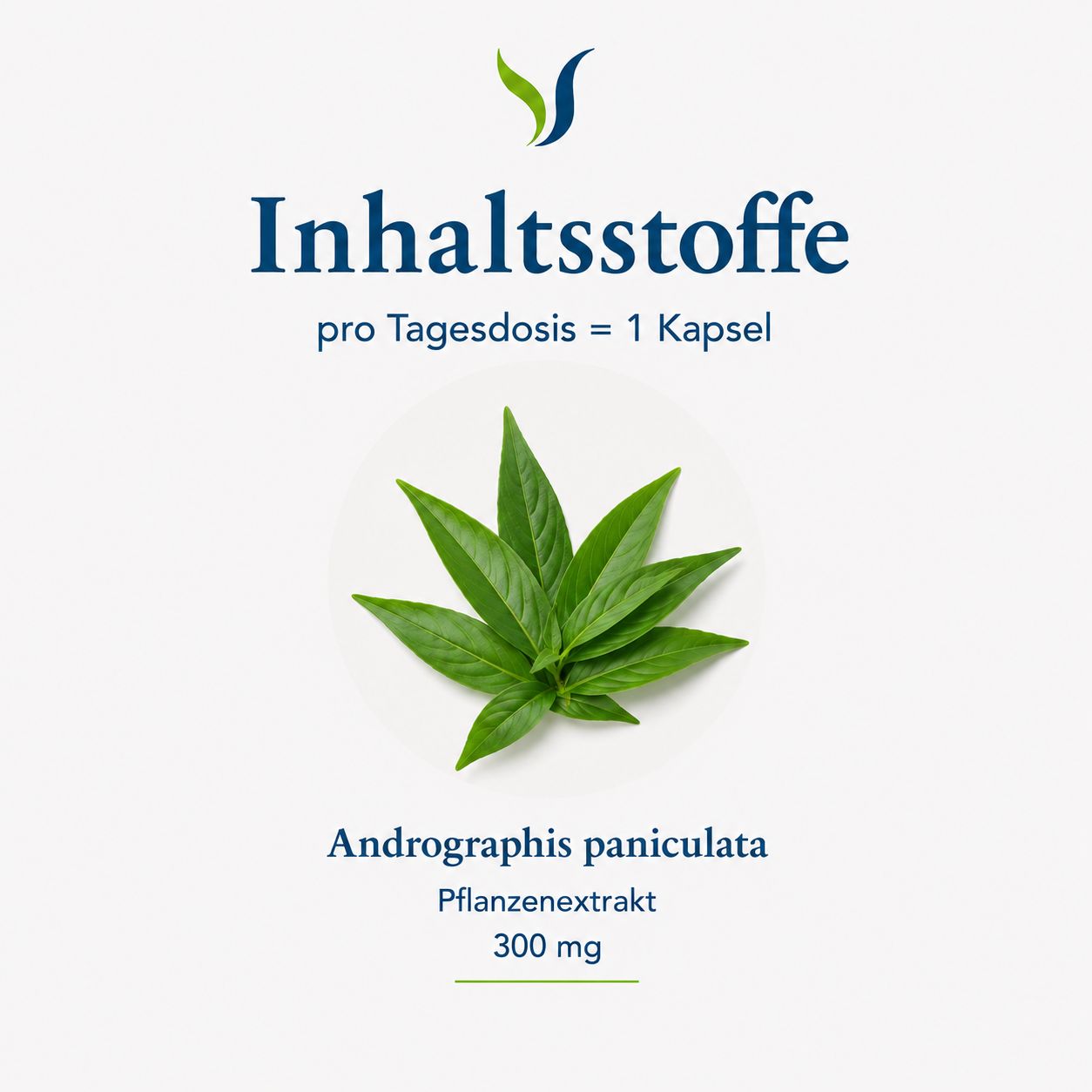 Andrographis paniculata Pflanzenextrakt 300 mg, Inhaltsstoffe pro Tagesdosis.