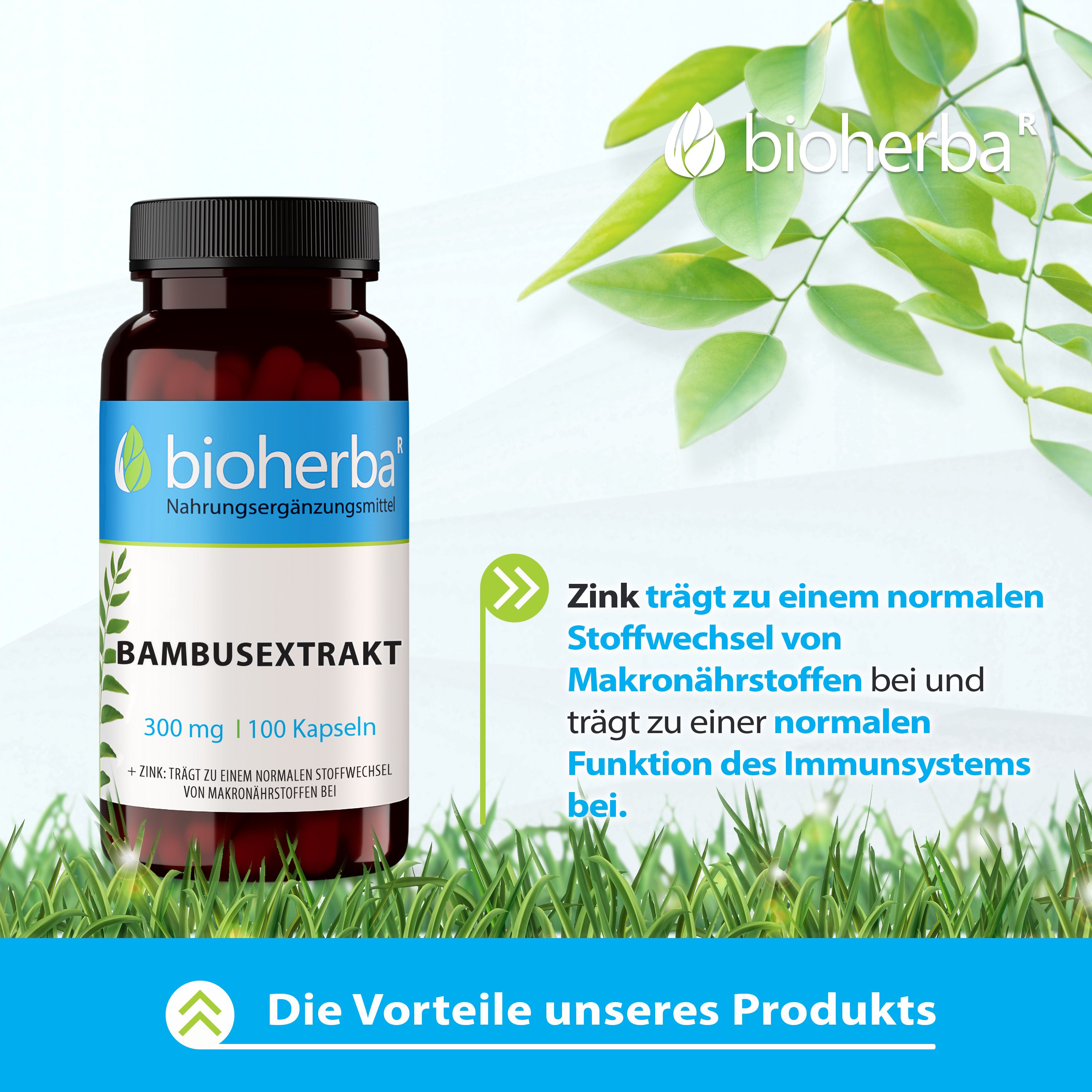 Braune Flasche mit Kapseln. Etikett mit Produktname und Marke. Text über Vorteile des Produkts. Hintergrund: Gras.