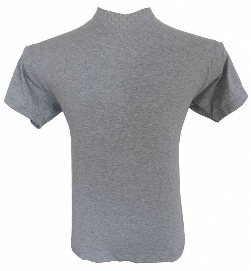 Graues T-Shirt ohne Rückeneinsatz. Kurze Ärmel, V-Ausschnitt. Rückansicht, auf Büste präsentiert.