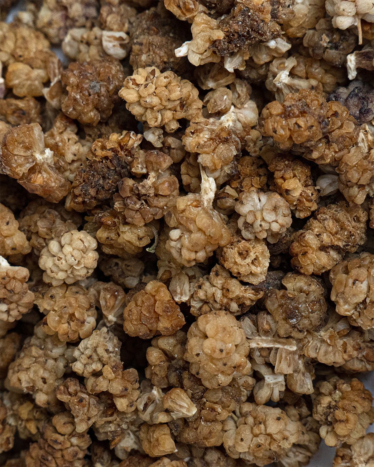 Nahaufnahme von getrockneten, beigen Maulbeeren. Die Beeren sind unregelmäßig geformt und körnig.