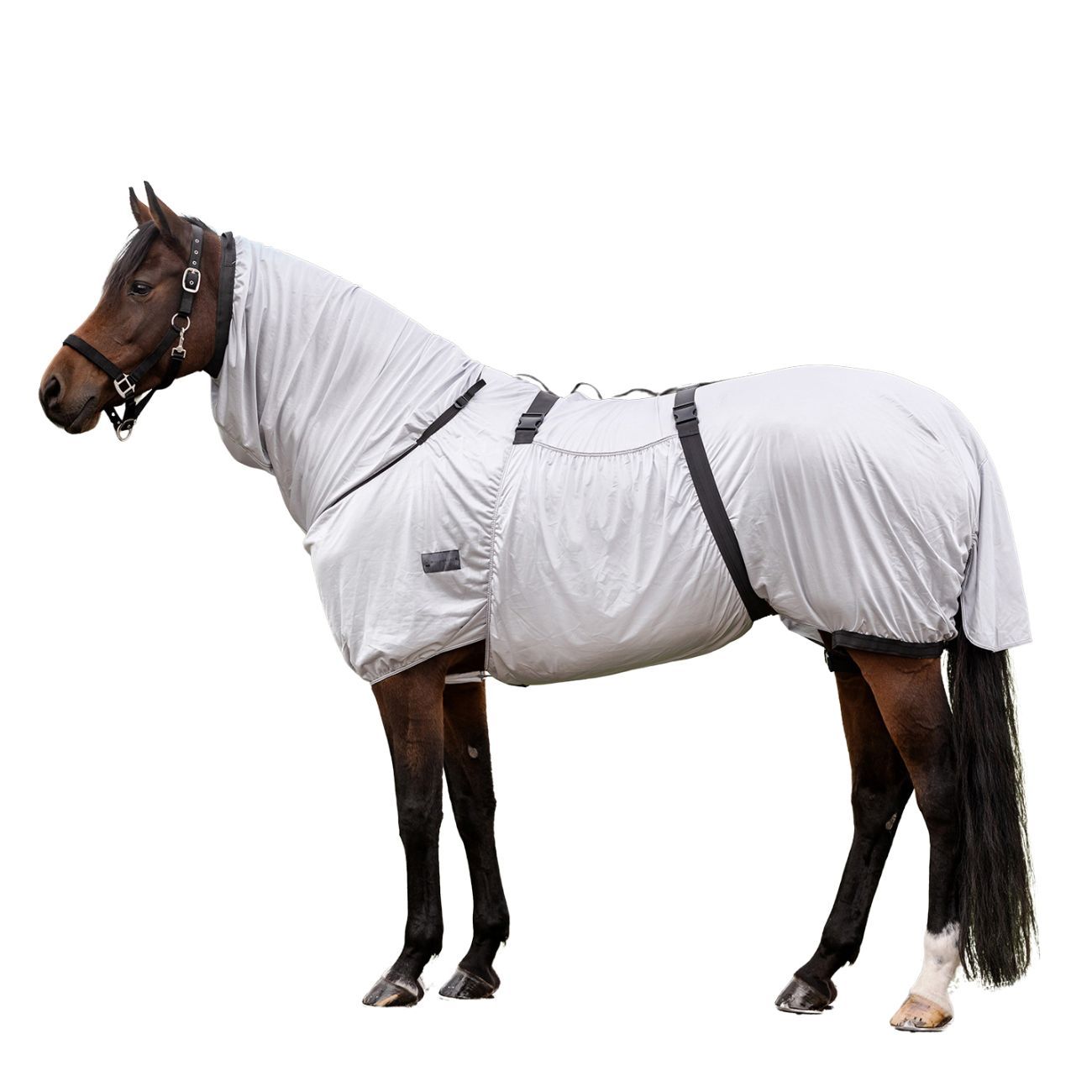 Waldhausen Ekzemerdecke