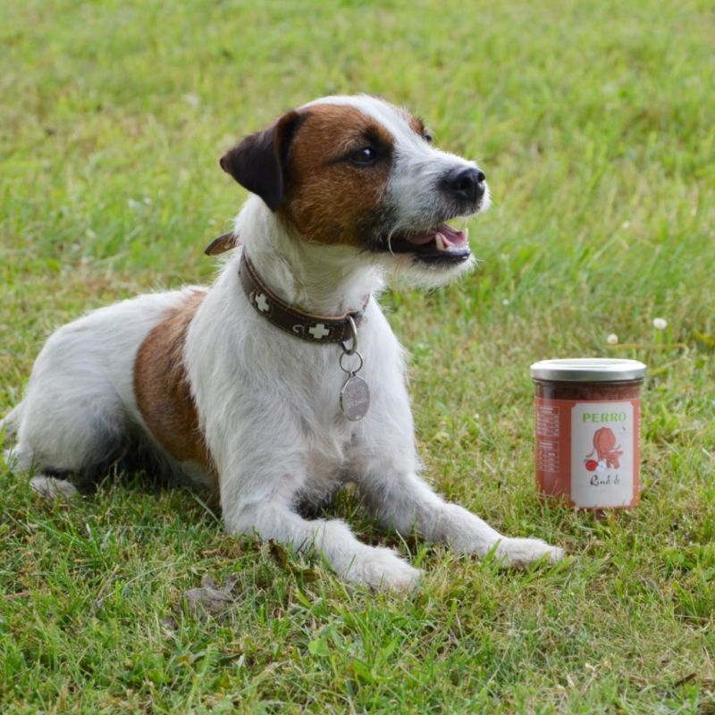 PERRO Geniesser Glas Hund SET Rind & Apfel