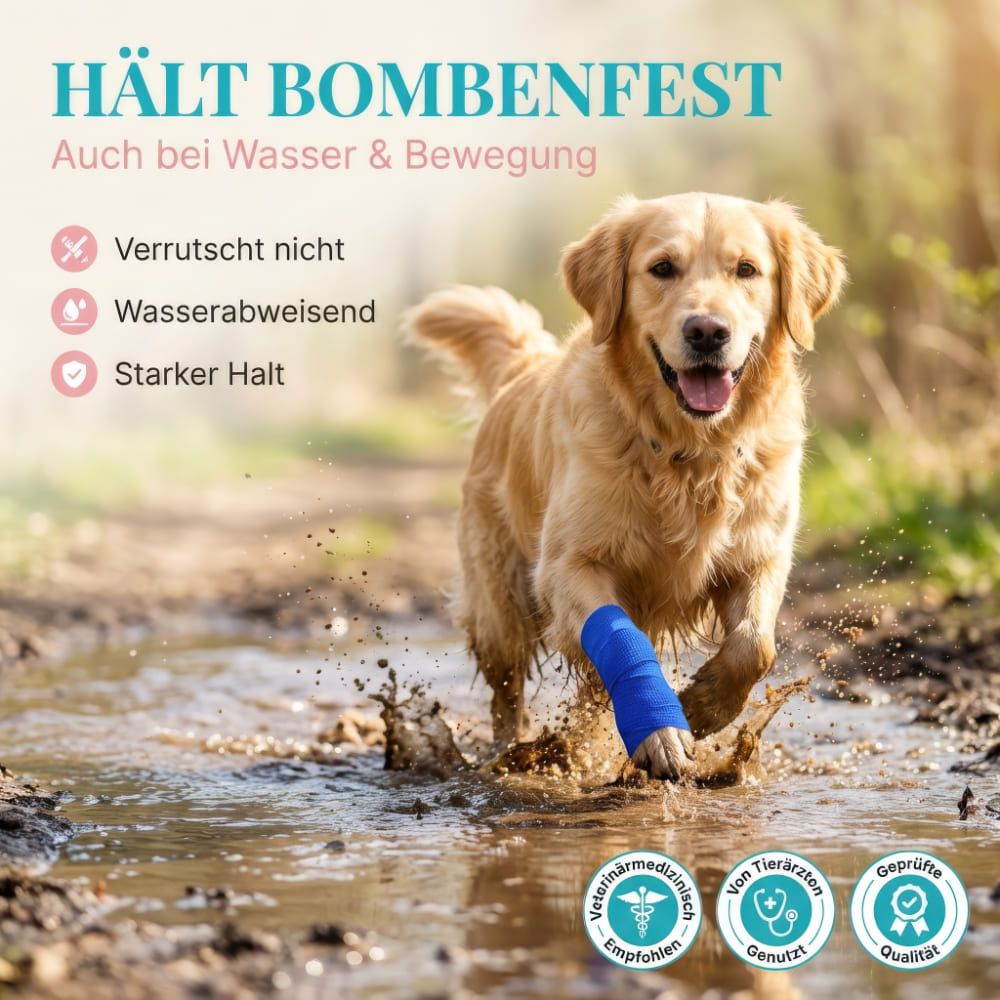 Hund mit blauem Verband am Bein läuft durch Wasser. Text: Hält bombenfest, verrutscht nicht, wasserabweisend, starker Halt. Siegel.