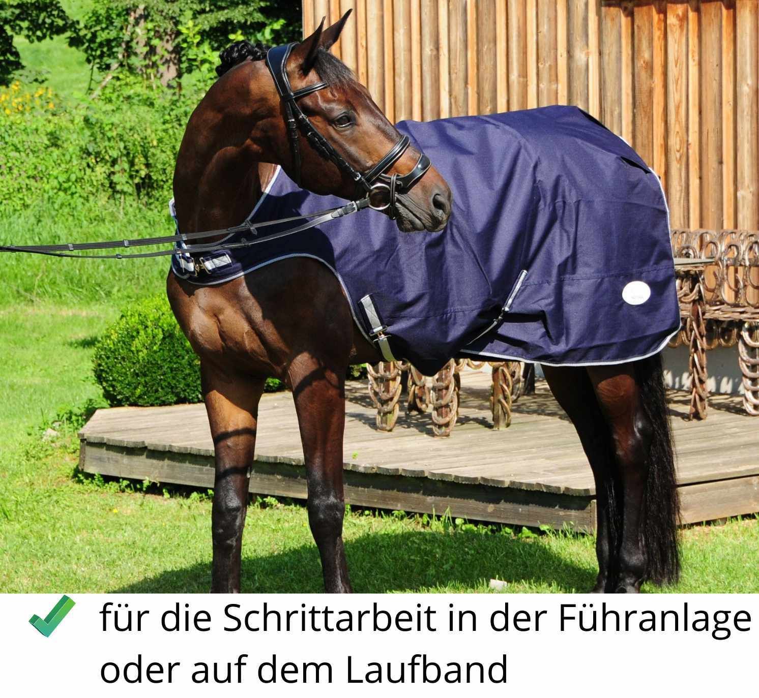 Pferdedecke, dunkelblau mit weißem Rand, auf einem Pferd. Text: für die Schrittarbeit in der Führanlage oder auf dem Laufband.