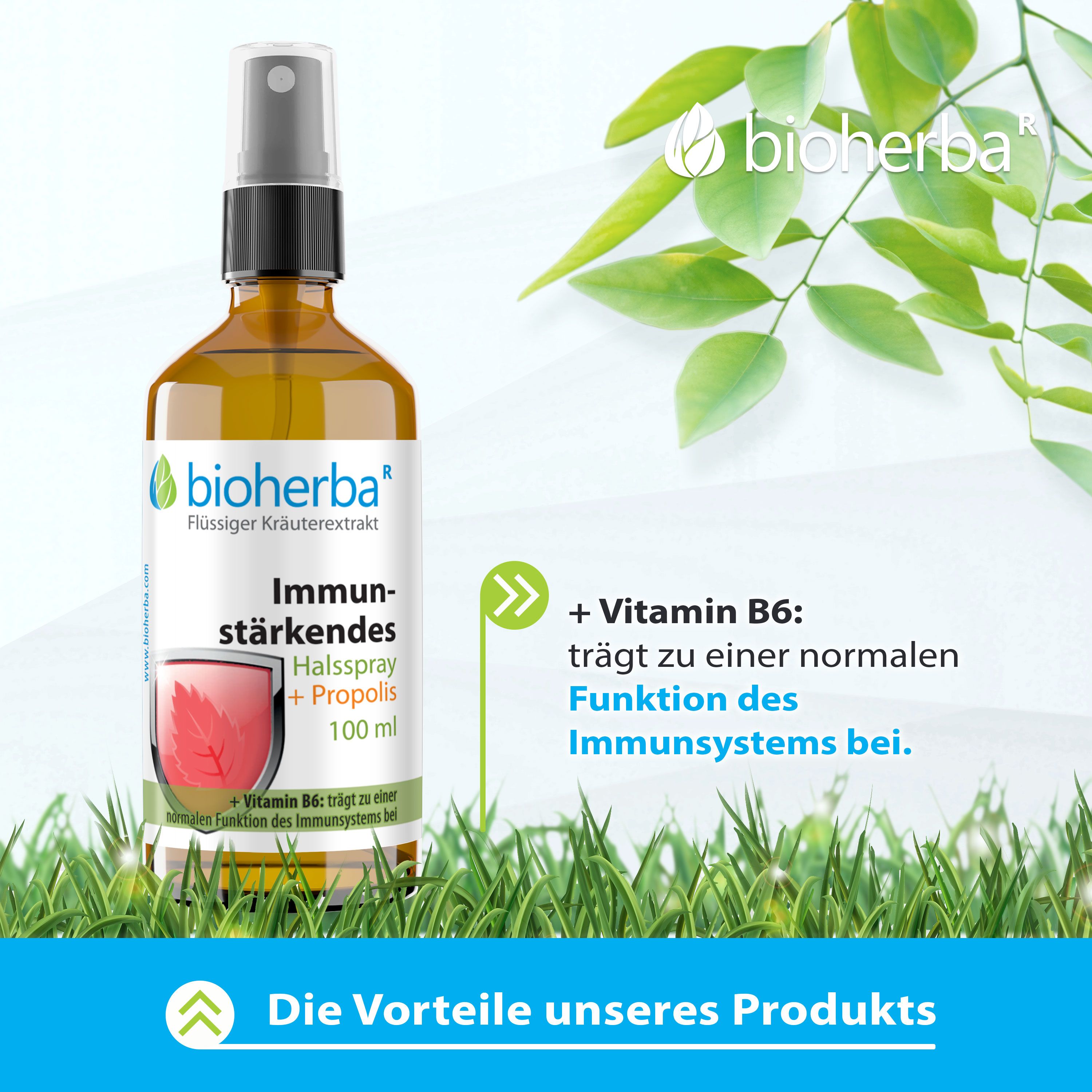 Braune Flasche mit Sprühkopf. Produktname und Marke: Bioherba. Text: Immunstärkendes Halsspray + Propolis.