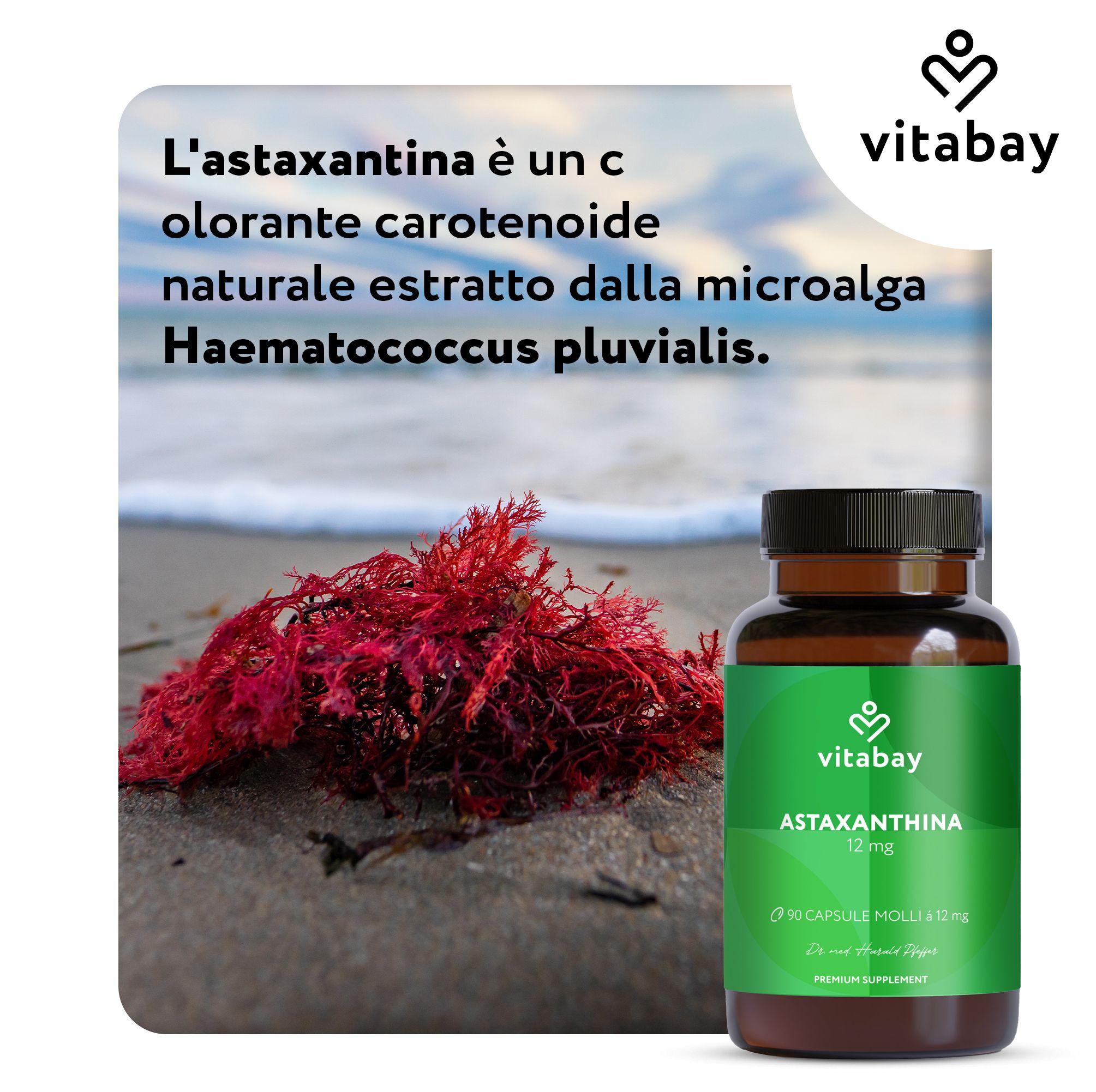 Vitabay Astaxanthin 12 mg Flasche neben rotem Seetang am Strand.
