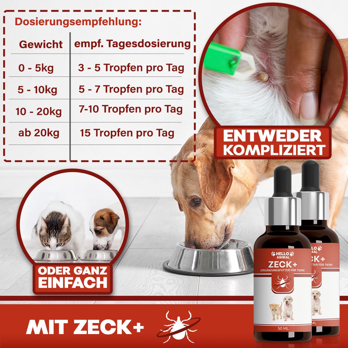 Zwei Produktflaschen mit Tropfern neben einem Hund und einer Katze. Text: Hello Animal, Zeck+, Dosierungsempfehlung.