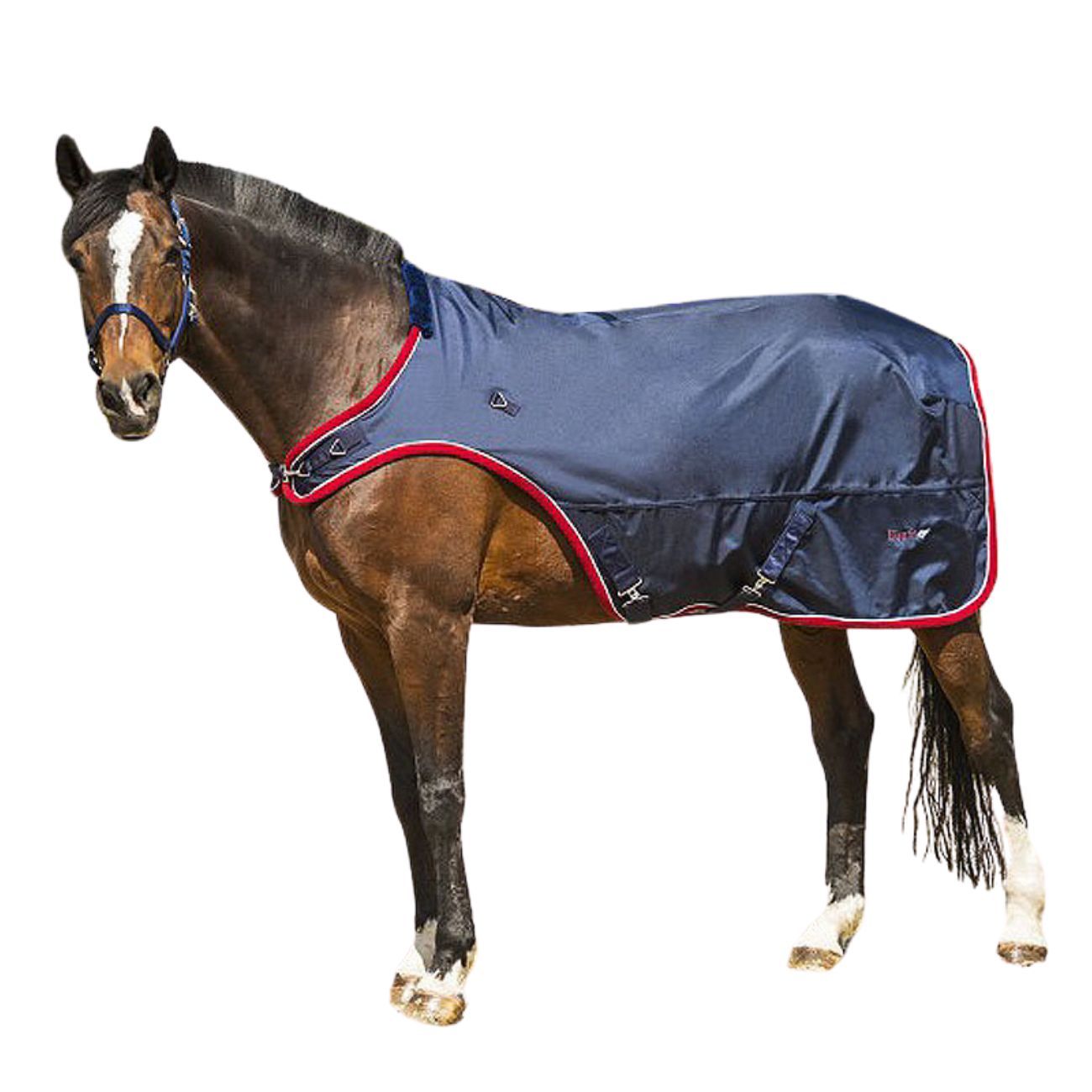 Pferdedecke, marineblau mit roter Paspelierung, auf einem Pferd. Schnallen und Logo sichtbar.