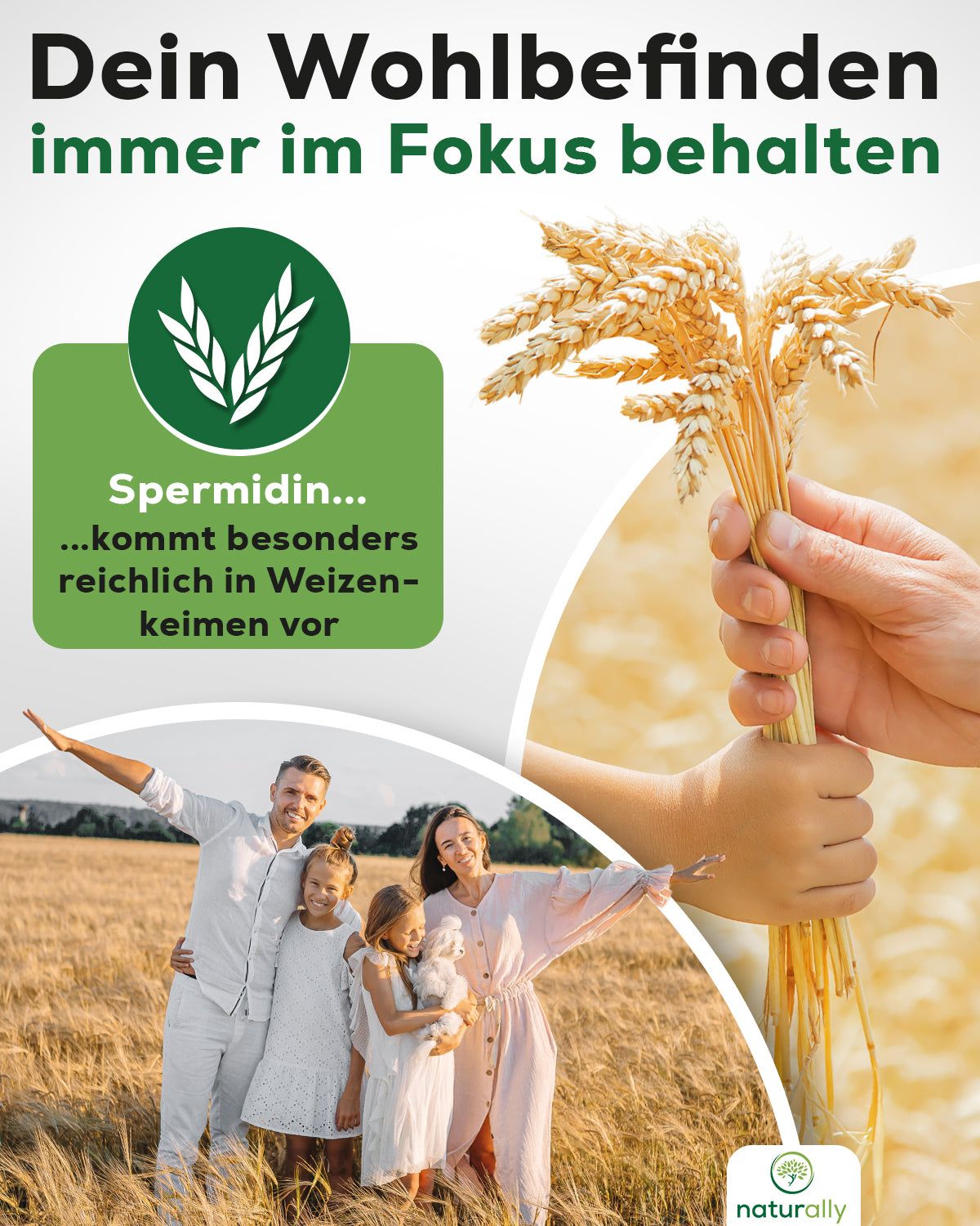 Familie auf Feld. Person hält Weizenähren. Text: Spermidin kommt reichlich in Weizenkeimen vor. Logo: naturally.