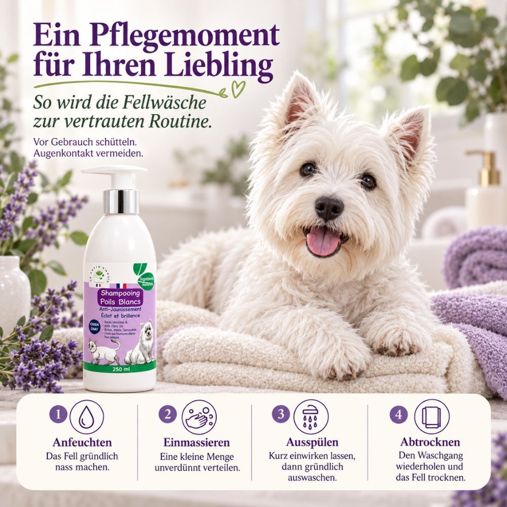 Flasche mit 250ml Hundeshampoo, natürliche Inhaltsstoffe, mit Aloe Vera und Pflanzenextrakten.