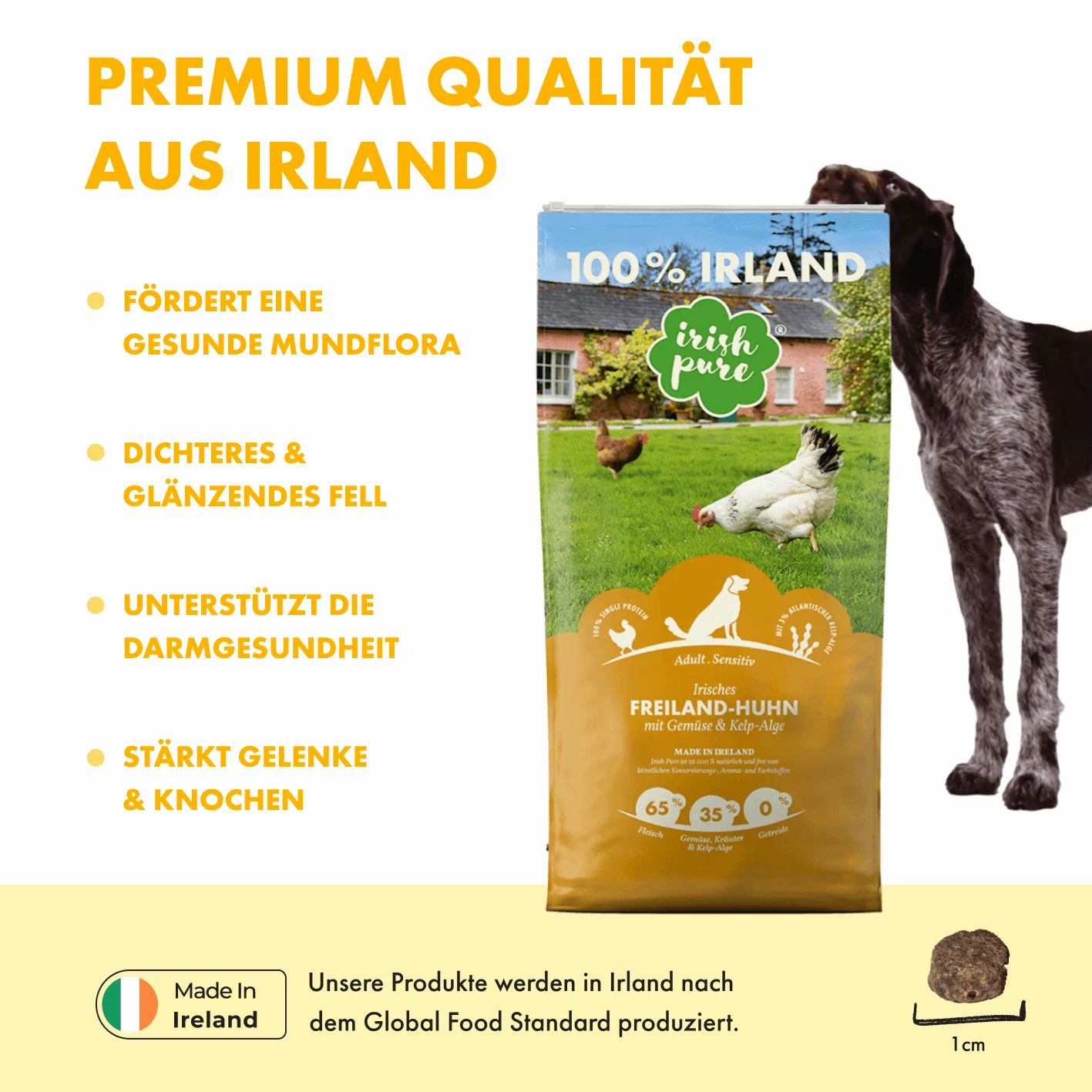 Vorteile von 'Irish Pure' Hundefutter: gesunde Mundflora, glänzendes Fell, Darmgesundheit, starke Gelenke.
