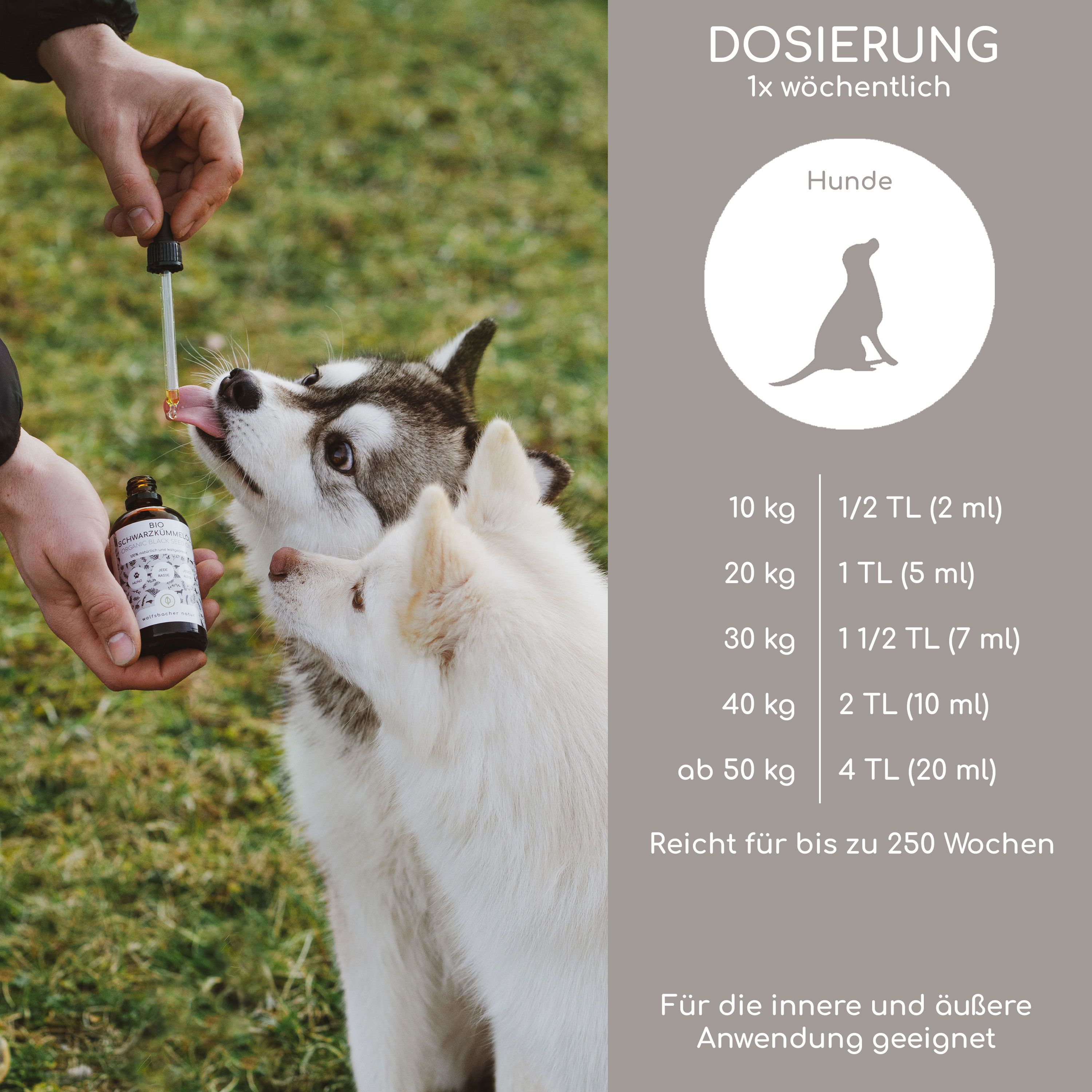 Hände dosieren Öl in Hunde-Mund. Tabelle: Dosierung für Hunde nach Gewicht. Flasche: BIO SCHWARZKÜMMELÖL. Text: Für innere und äußere Anwendung.