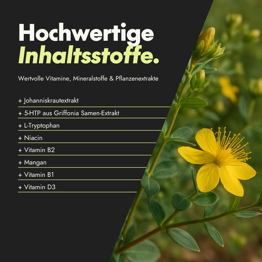 Gelbe Blume vor grünem Hintergrund. Text: Hochwertige Inhaltsstoffe. Wertvolle Vitamine, Mineralstoffe & Pflanzenextrakte. Johanniskrautextrakt, etc.