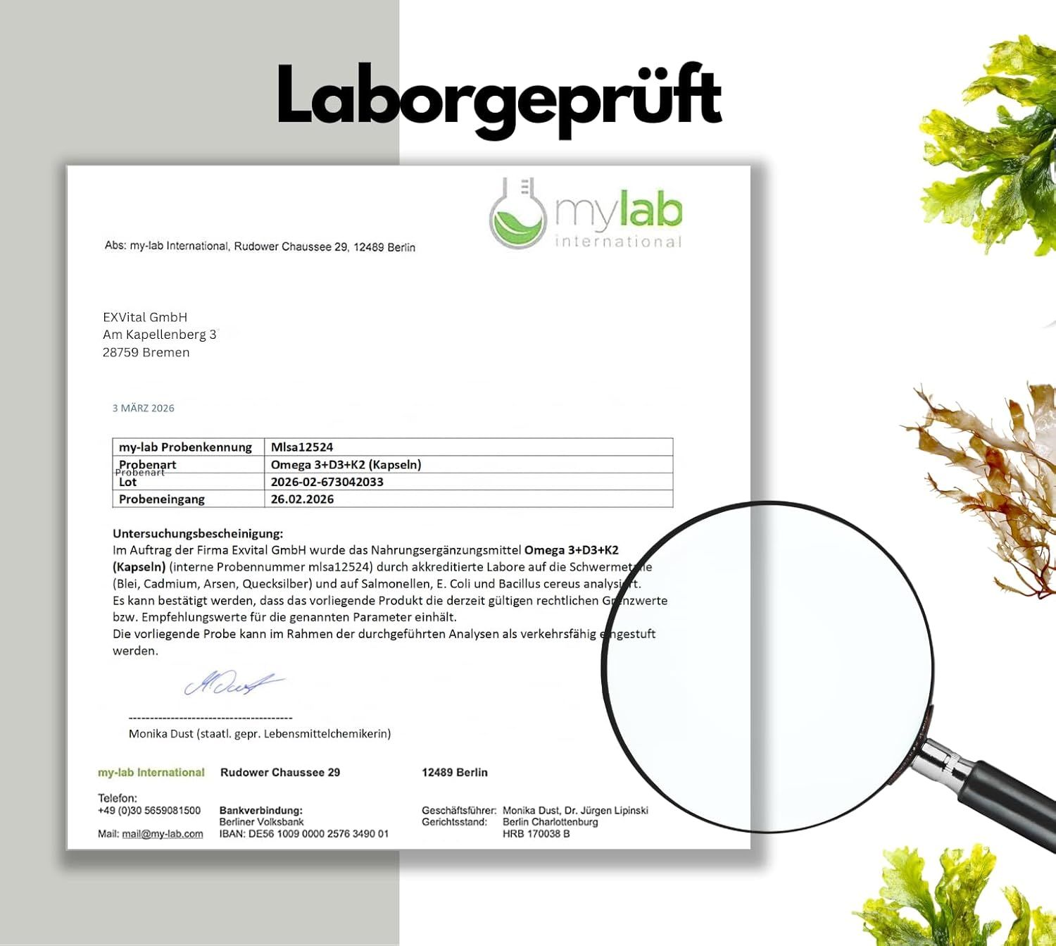 EXVital® Omega 3 + D3 & K2 Kapseln aus Algenöl, hochdosiert & vegan