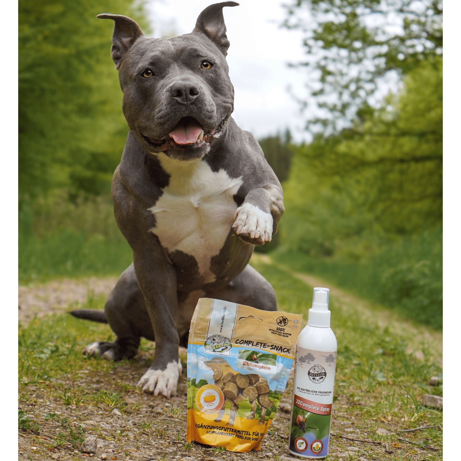 Hund sitzt neben einem Beutel COMPLETE-SNACK und einer Sprühflasche. Hintergrund: Natur.