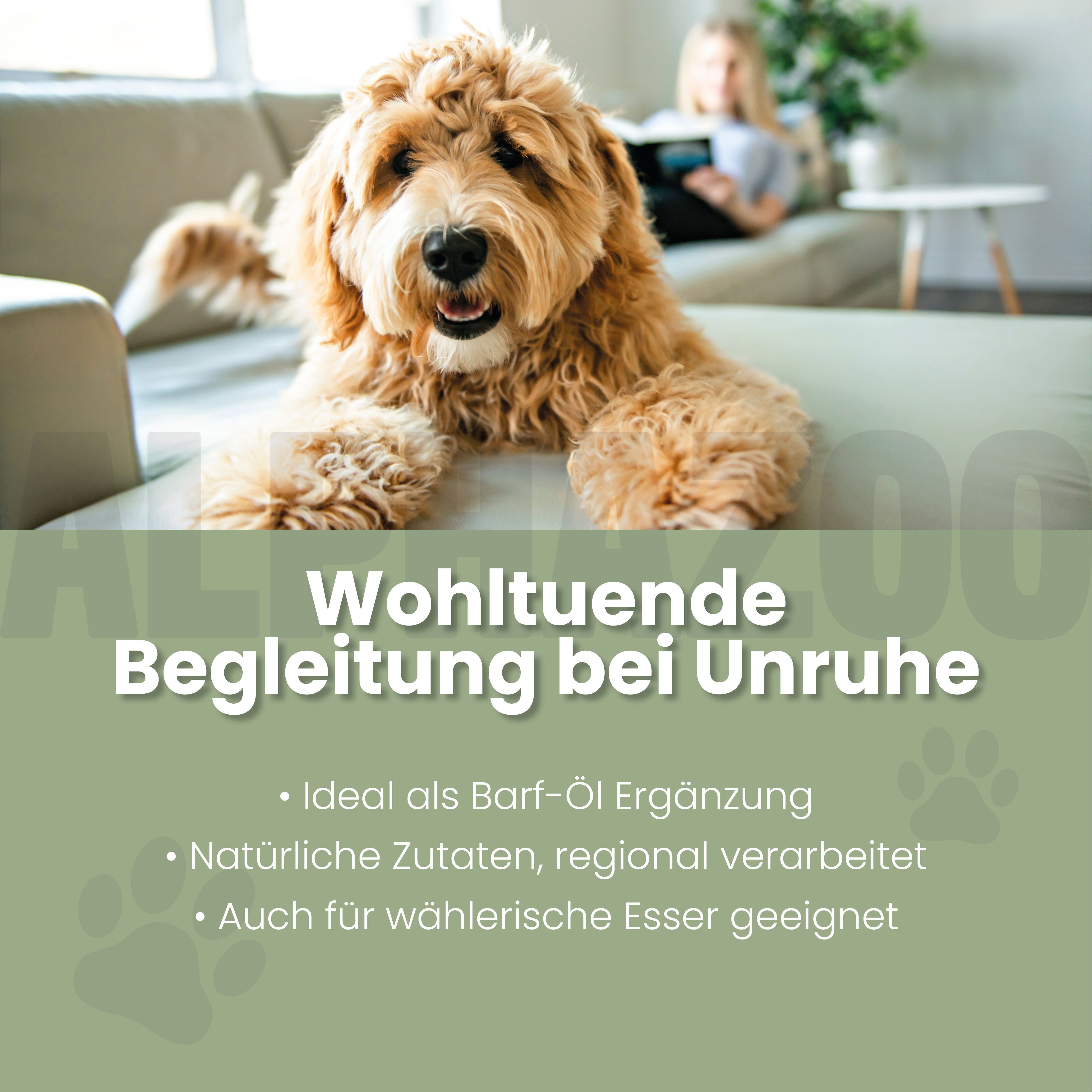 Ein Hund liegt auf einem Sofa. Text: Wohltuende Begleitung bei Unruhe. Ideal als Barf-Öl Ergänzung. Natürliche Zutaten, regional verarbeitet. Auch für wählerische Esser geeignet.