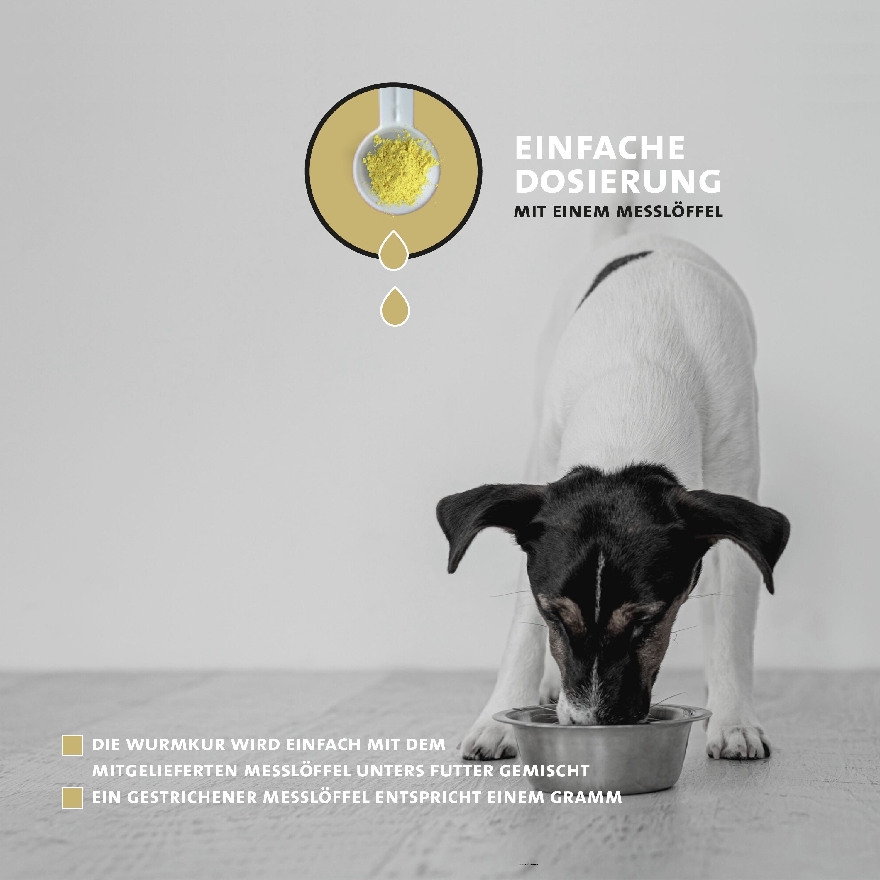 Hund frisst aus Schüssel. Text: Einfache Dosierung mit Messlöffel. Wurmkur mit Futter mischen. Ein Messlöffel entspricht 1g.