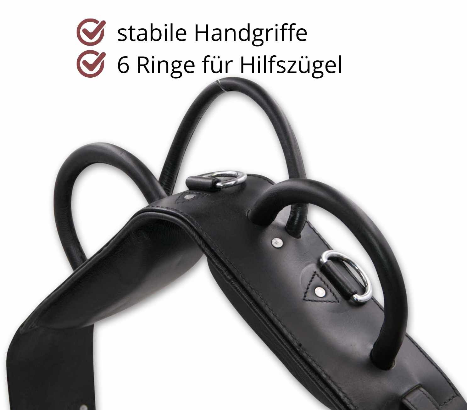 Schwarzer Voltigiergurt mit runden Griffen. Stabile Handgriffe und 6 Ringe für Hilfszügel.