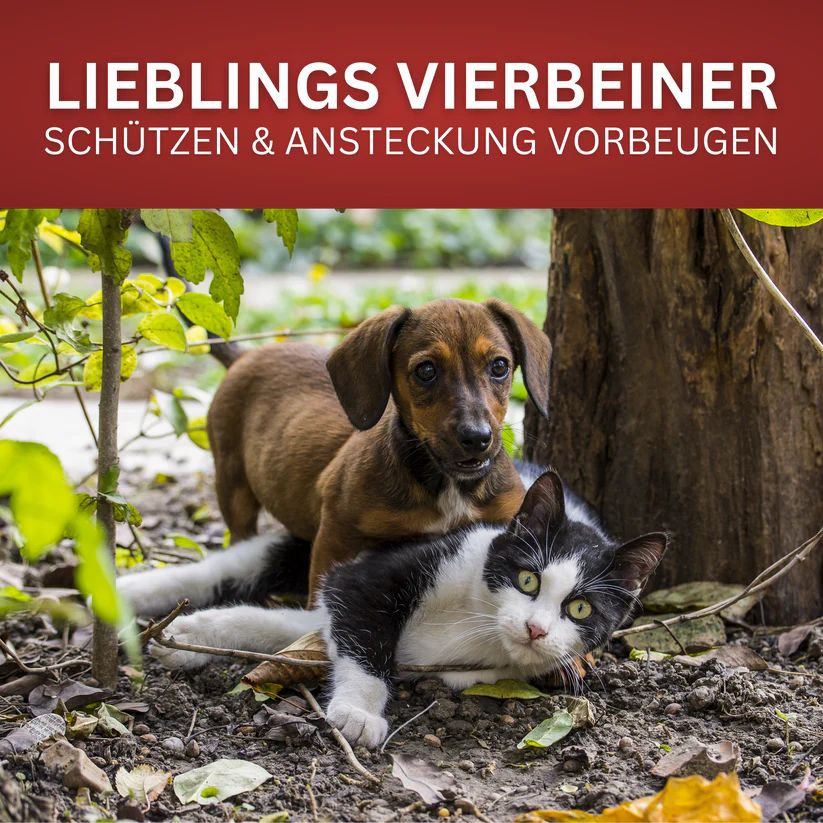 Katze und Hund liegen im Gras. Text: "LIEBLINGS VIERBEINER SCHÜTZEN & ANSTECKUNG VORBEUGEN".
