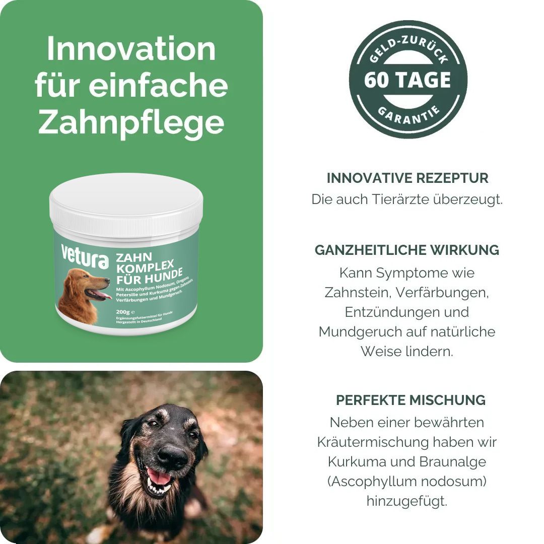 Grünes Layout mit Produktabbildung und Text. Text: Innovation für einfache Zahnpflege. 60 Tage Garantie.