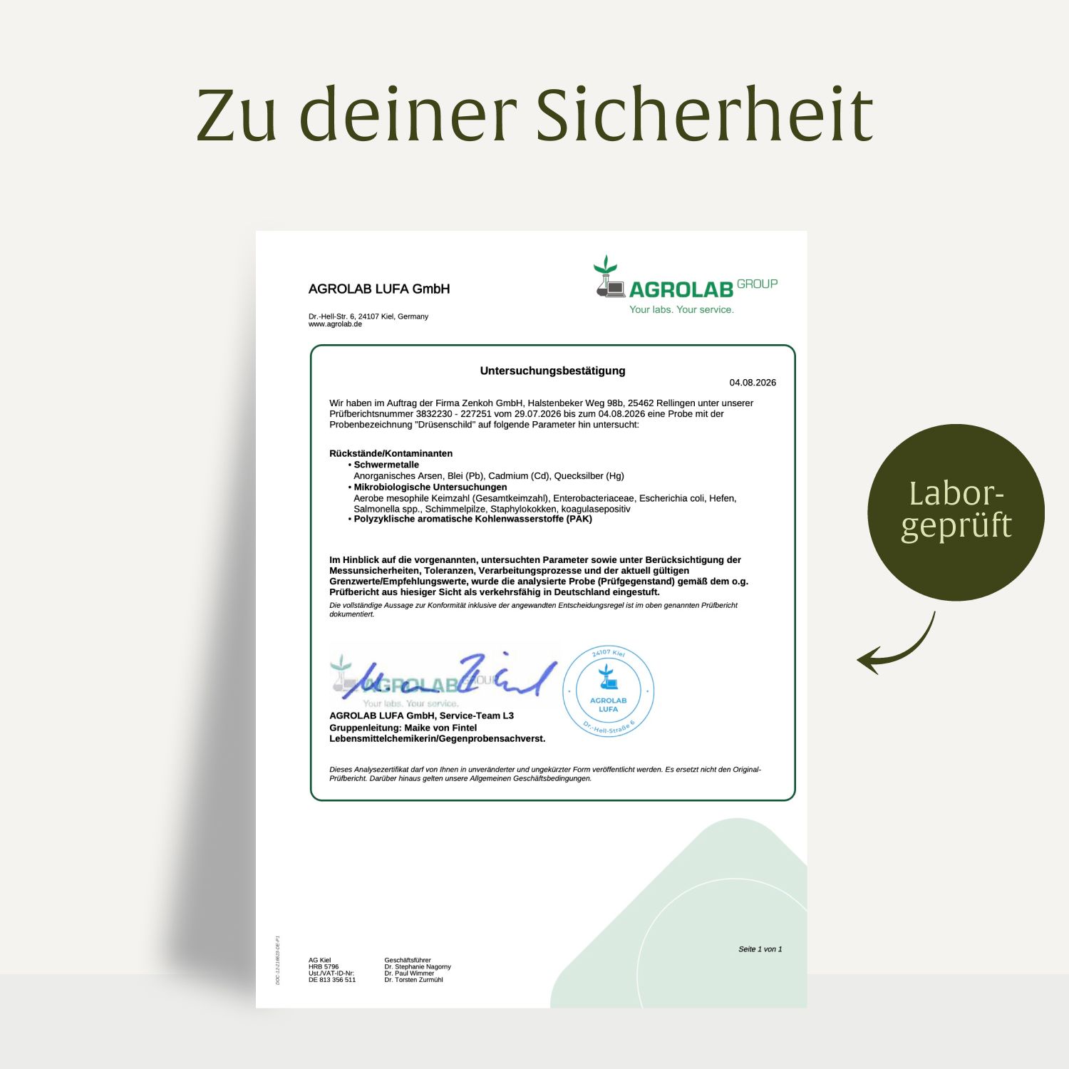 Drüsen Schild Kelp-Komplex Kapseln, 180 Stück