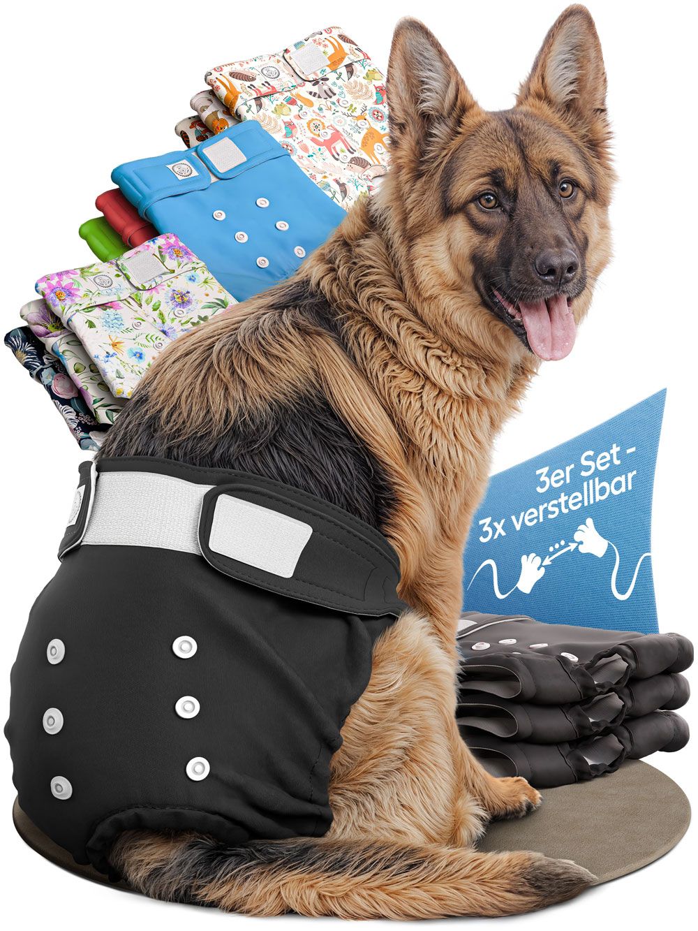 Windeln für Hündinnen, schwarz, mit Klettverschluss und Knöpfen. Mehrere Farben und Muster. Ein Hund trägt eine Windel.