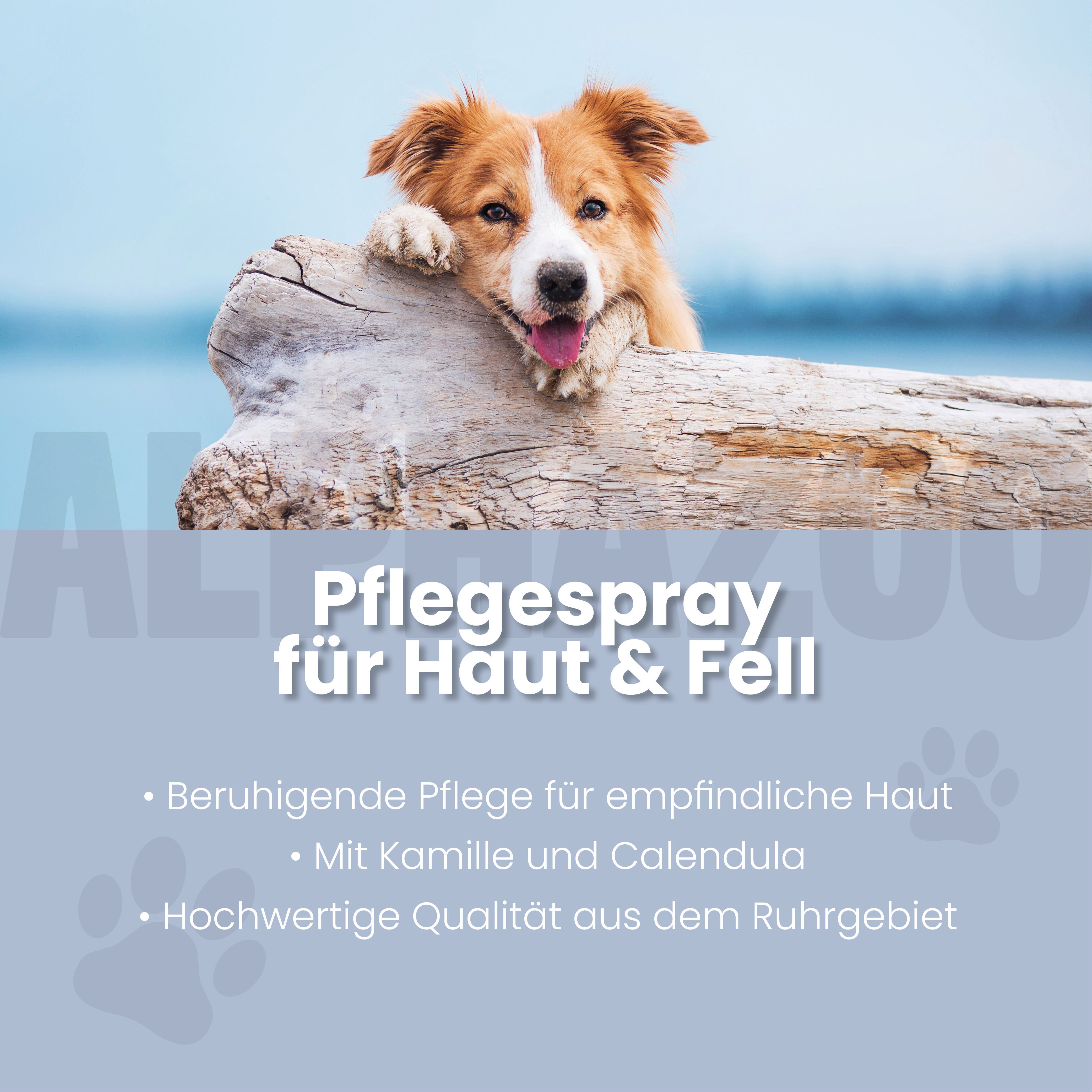 Blauer Hintergrund mit Text: Pflegespray für Haut & Fell. Text: Beruhigende Pflege, Mit Kamille und Calendula, Hochwertige Qualität.