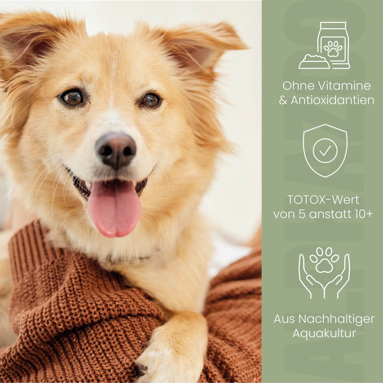 Hund mit Zunge. Text: Ohne Vitamine & Antioxidantien. TOTX-Wert von 5 anstatt 10+. Aus nachhaltiger Aquakultur.