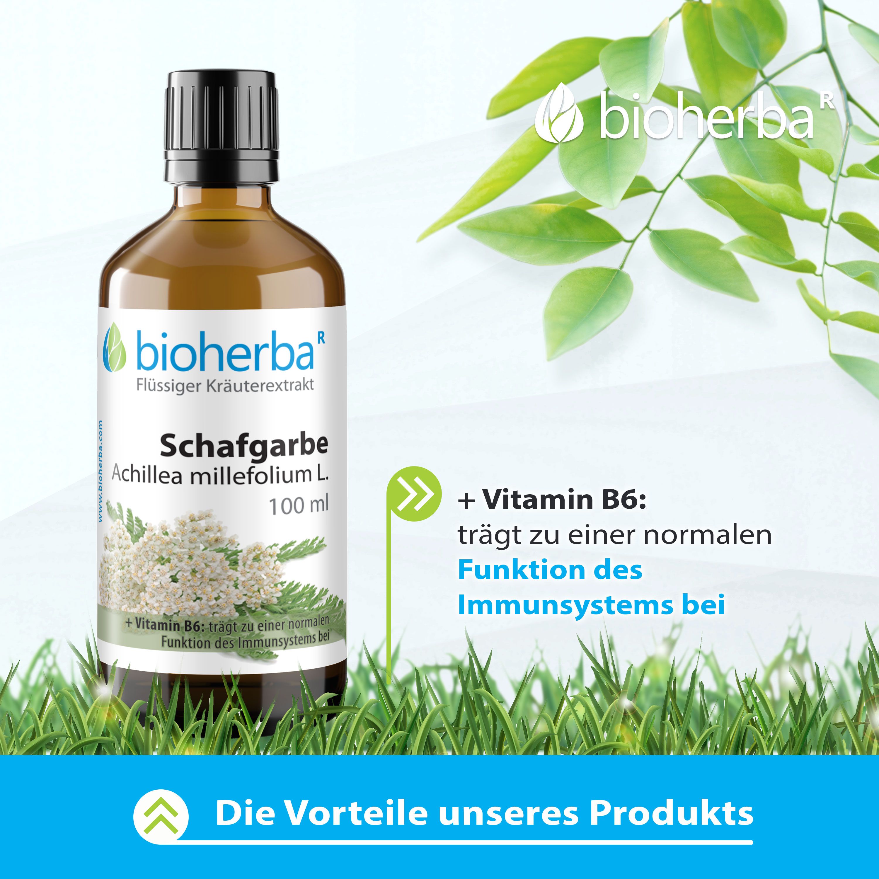 Braune Glasflasche mit schwarzem Deckel. Bioherba Schafgarbe Achillea millefolium L. 100 ml. Vitamin B6.