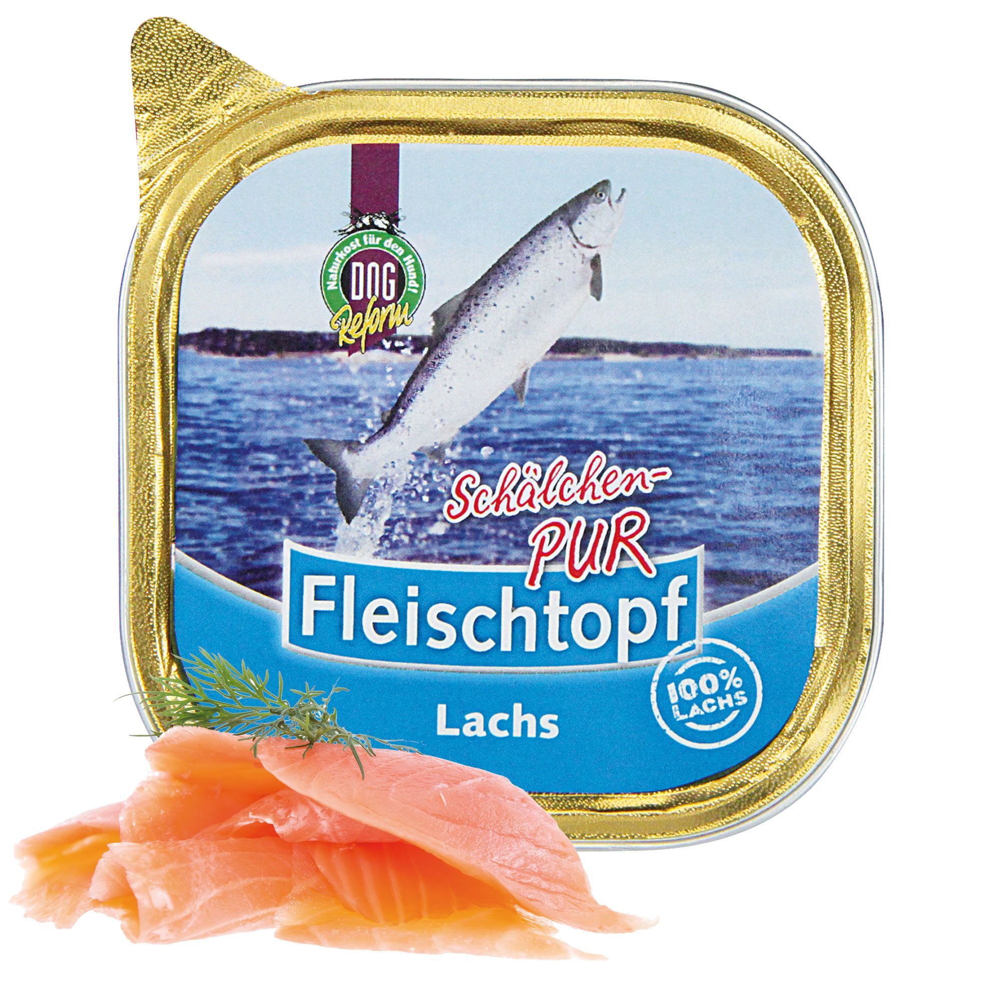 Schecker DOGREFORM Fleischtopf Schälchen PUR Lachs - 100%Lachs - Nassfutter