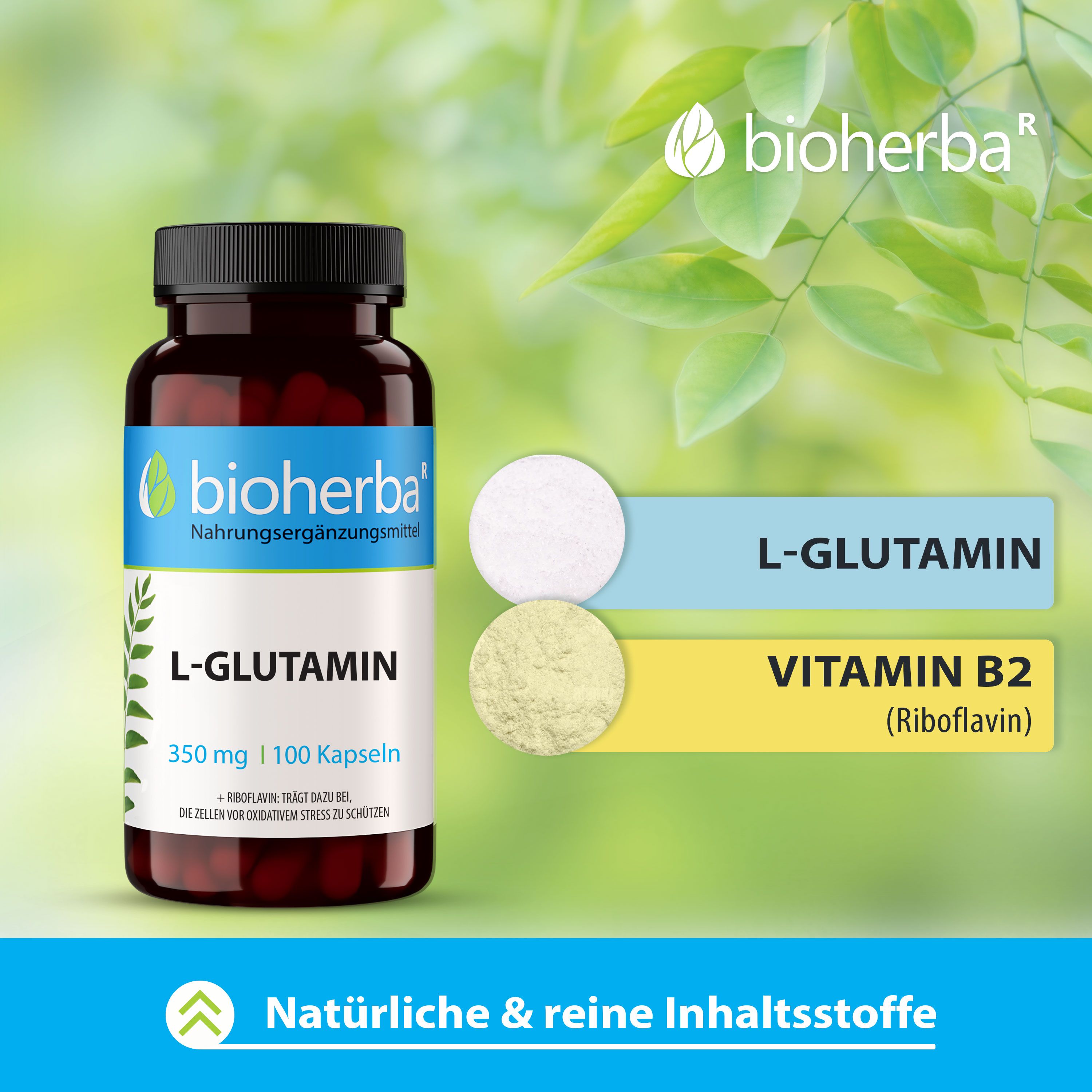 Braune Flasche mit schwarzem Deckel. Aufkleber mit Produktname L-Glutamin, 100 Kapseln, 350 mg. Zwei Pulverproben.