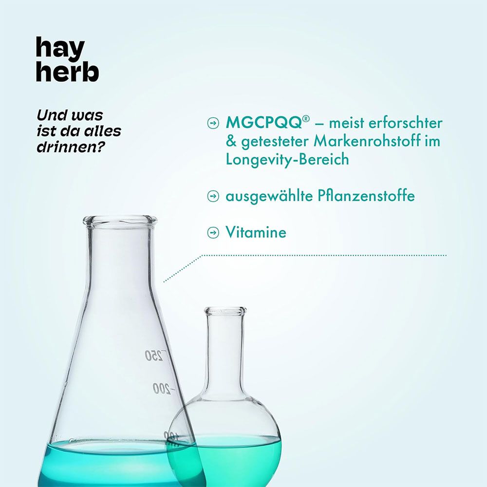 hay herb All-in-one Longevity Komplex