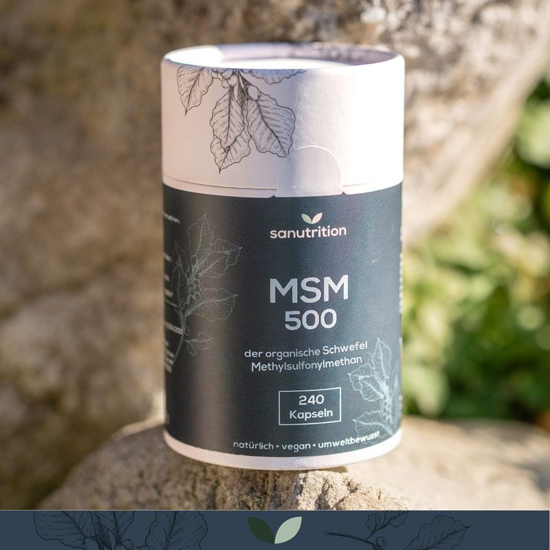 Zylindrische Dose "Sanutrition MSM 500" auf Stein. Schwarzer Hintergrund, weiße Schrift. "240 Kapseln".