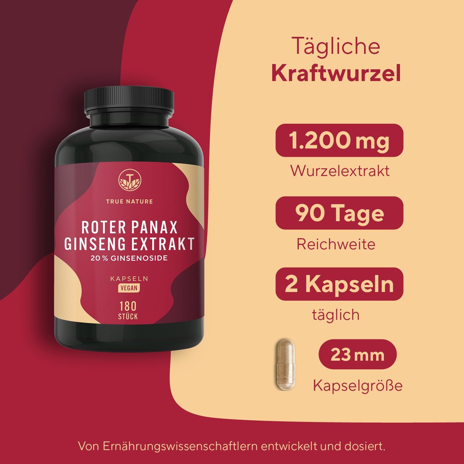 Schwarze Flasche mit Kapseln. Roter Panax Ginseng Extrakt, 20% Ginsenoside. 180 Stück. Eine Kapsel daneben, 23 mm.