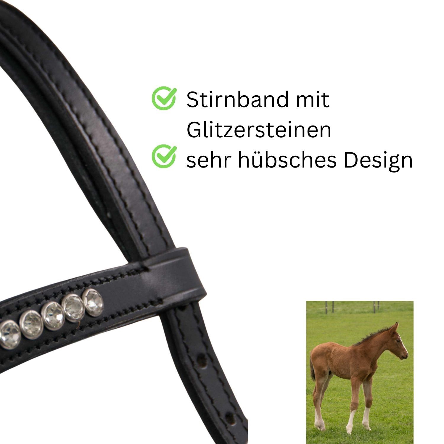 Nahaufnahme eines schwarzen Lederhalfters mit Glitzer-Stirnband. Sehr hübsches Design.