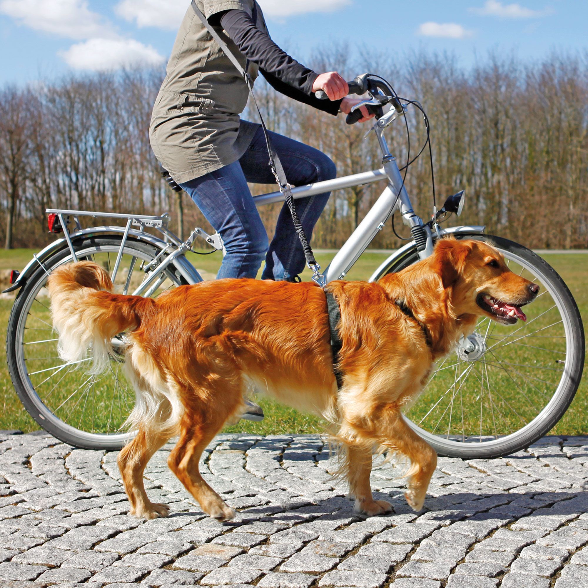 Fahrrad und Joggingleine - mit flexiblen Expanderleine
